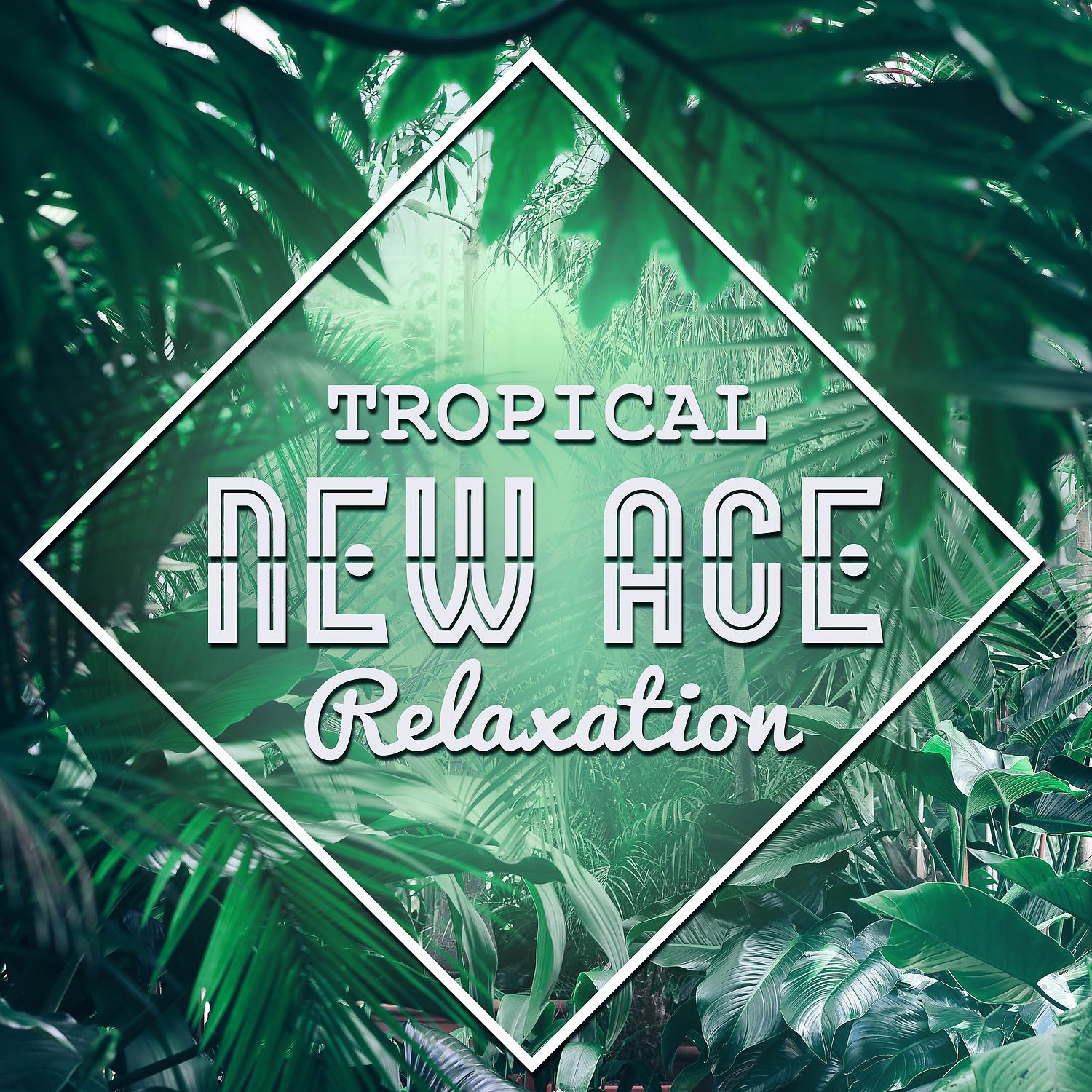 Постер альбома Tropical New Age Relaxation – Soft Sounds to Relax, Rest a Bit, Harmony Sounds, Journey with New Age
