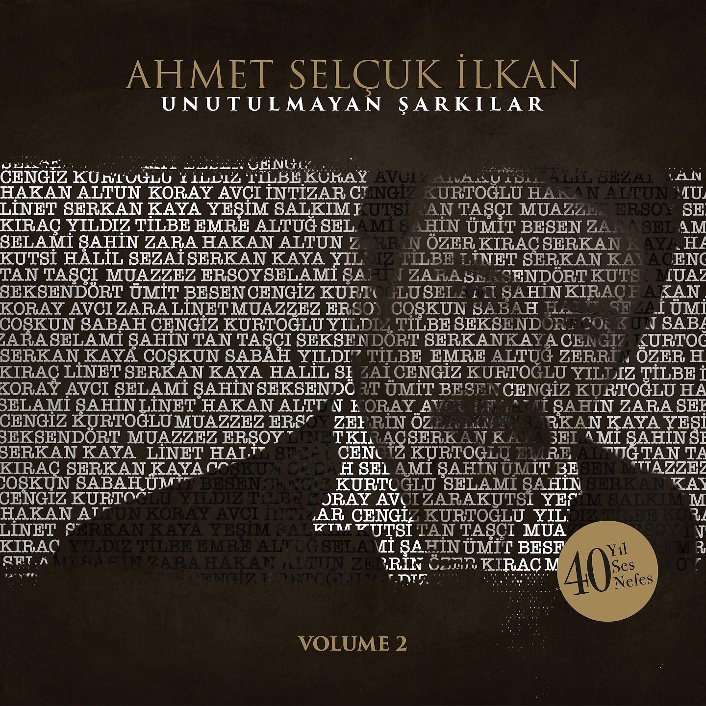 Постер альбома Ahmet Selçuk İlkan Unutulmayan Şarkılar, Vol. 2