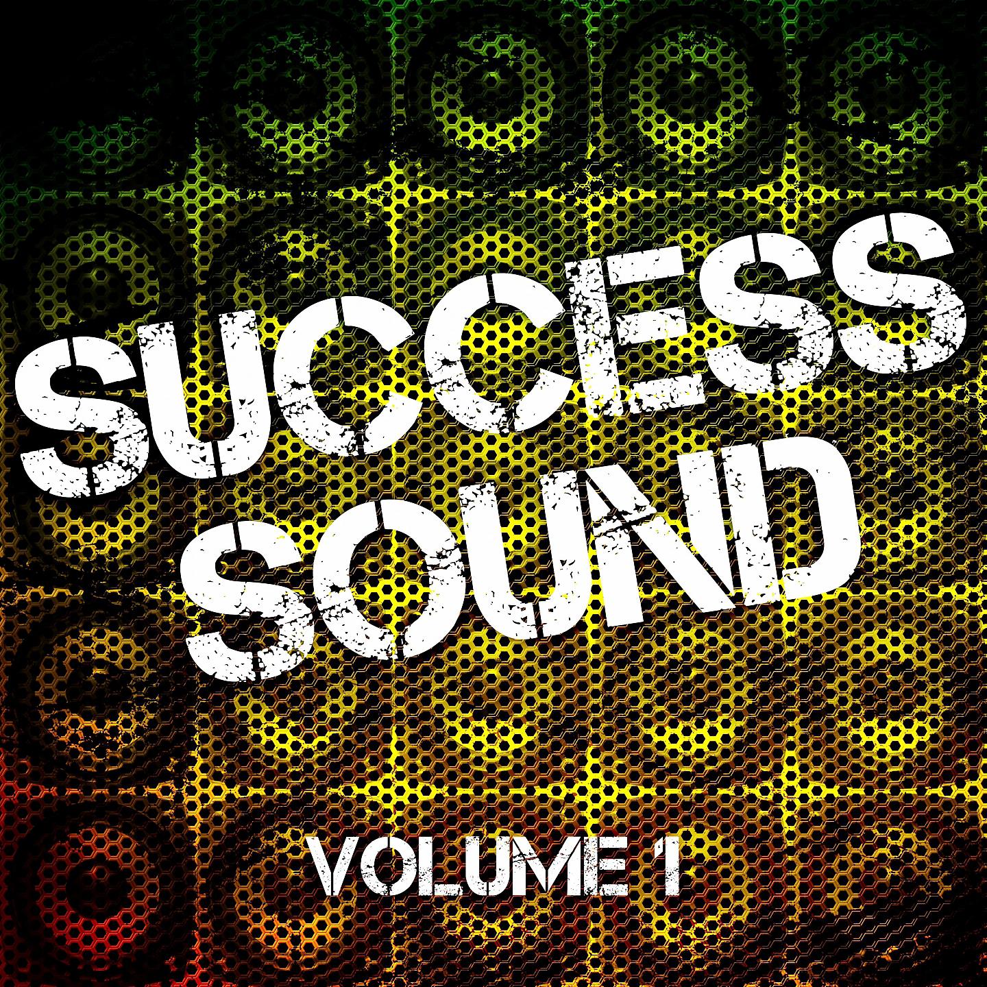 Постер альбома Success Sound, Vol. 1