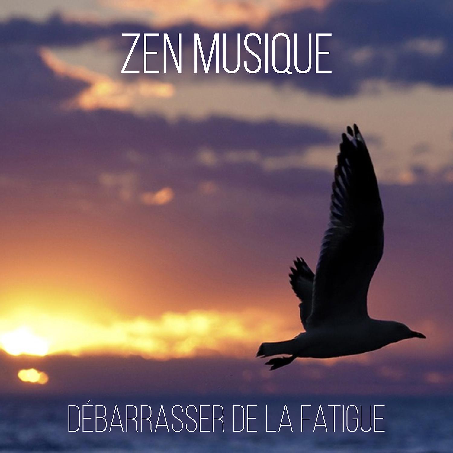 Постер альбома Zen musique: Débarrasser de la fatigue - Calmer son stress, Musique de fond pour le bien-être, Relaxation et détente