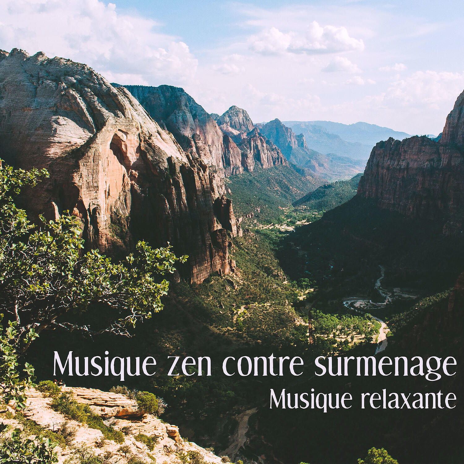 Ensemble de Musique Zen Relaxante - Mains griffesensophrologie