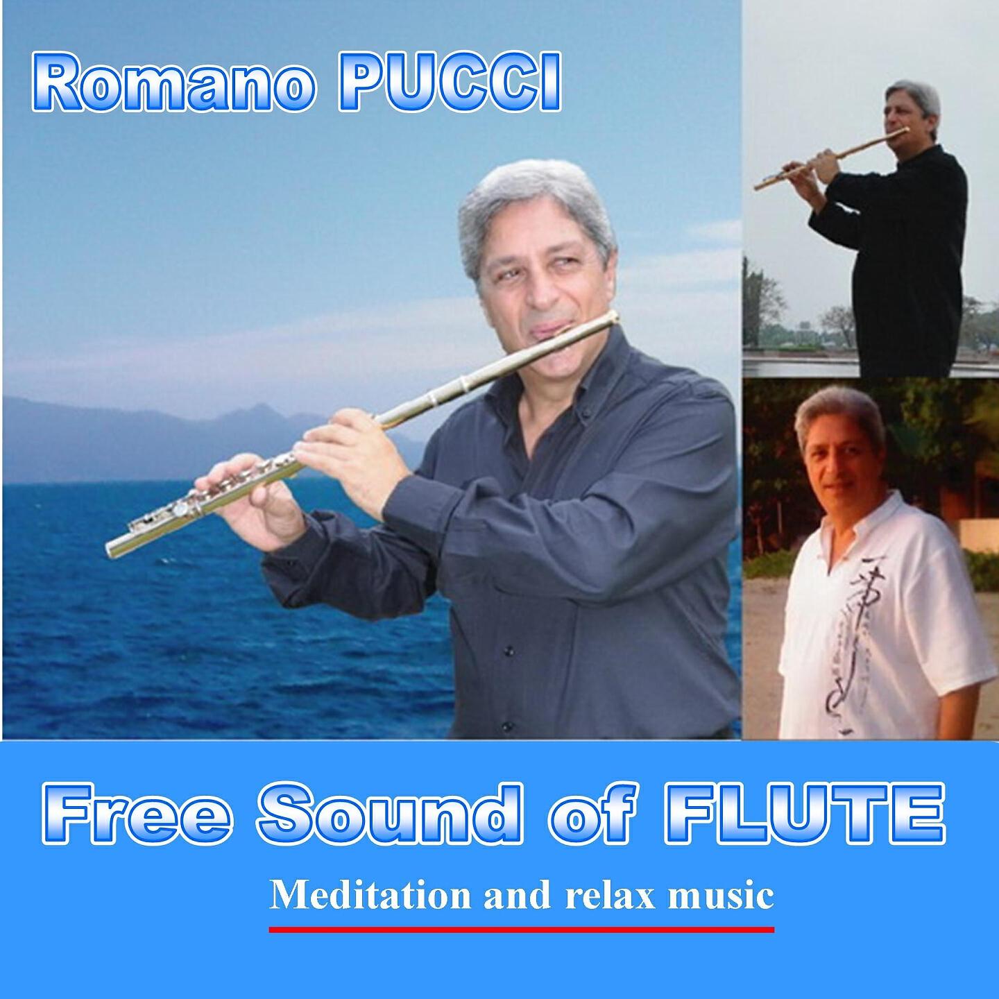Romano Pucci - My Destiny