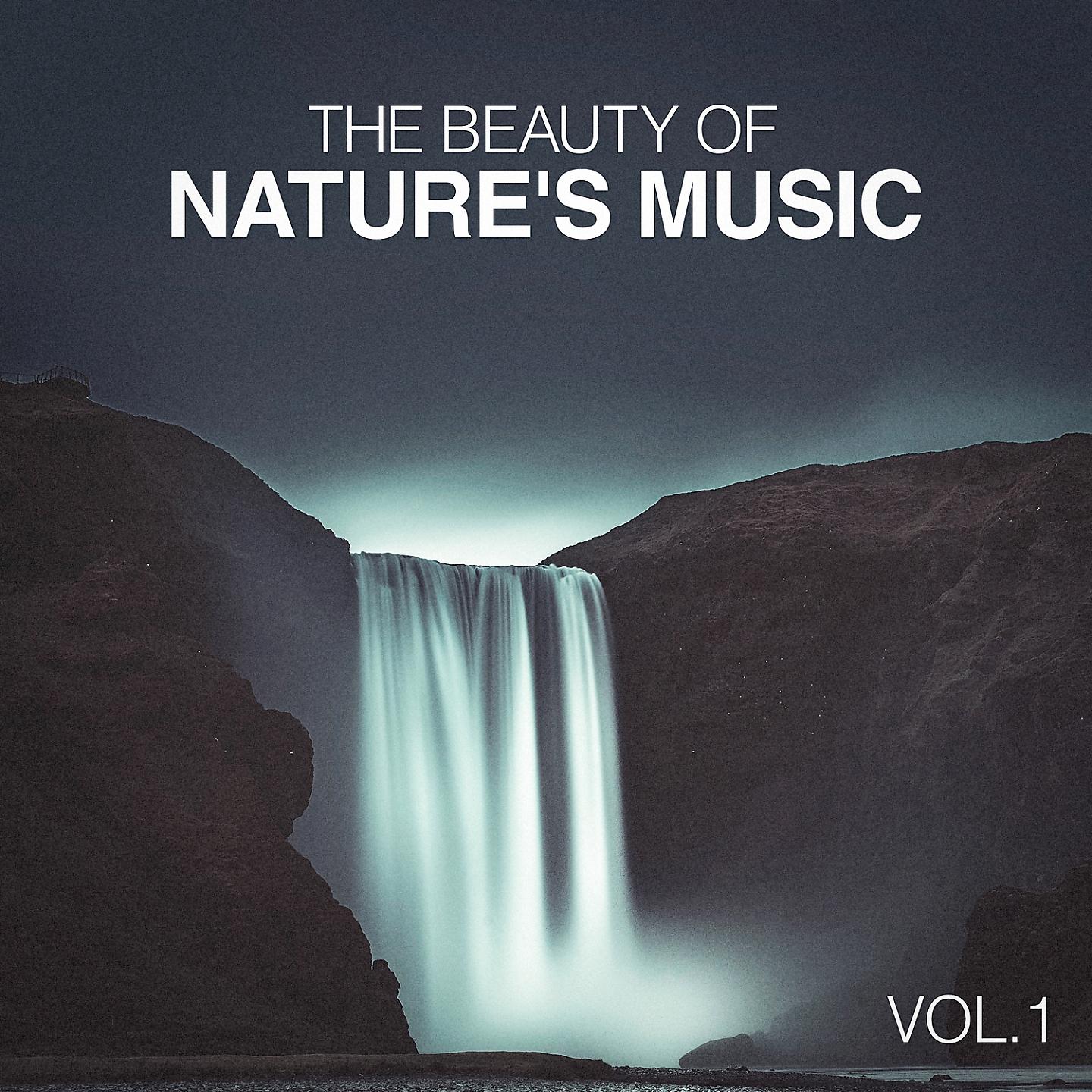 Постер альбома The Beauty of Nature's Music