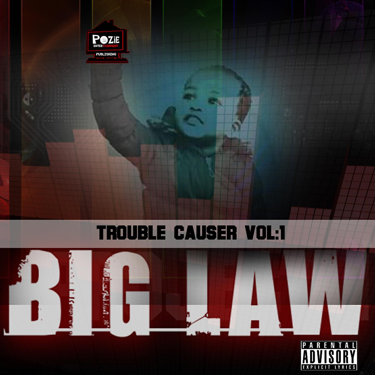 Big Law - First Project
