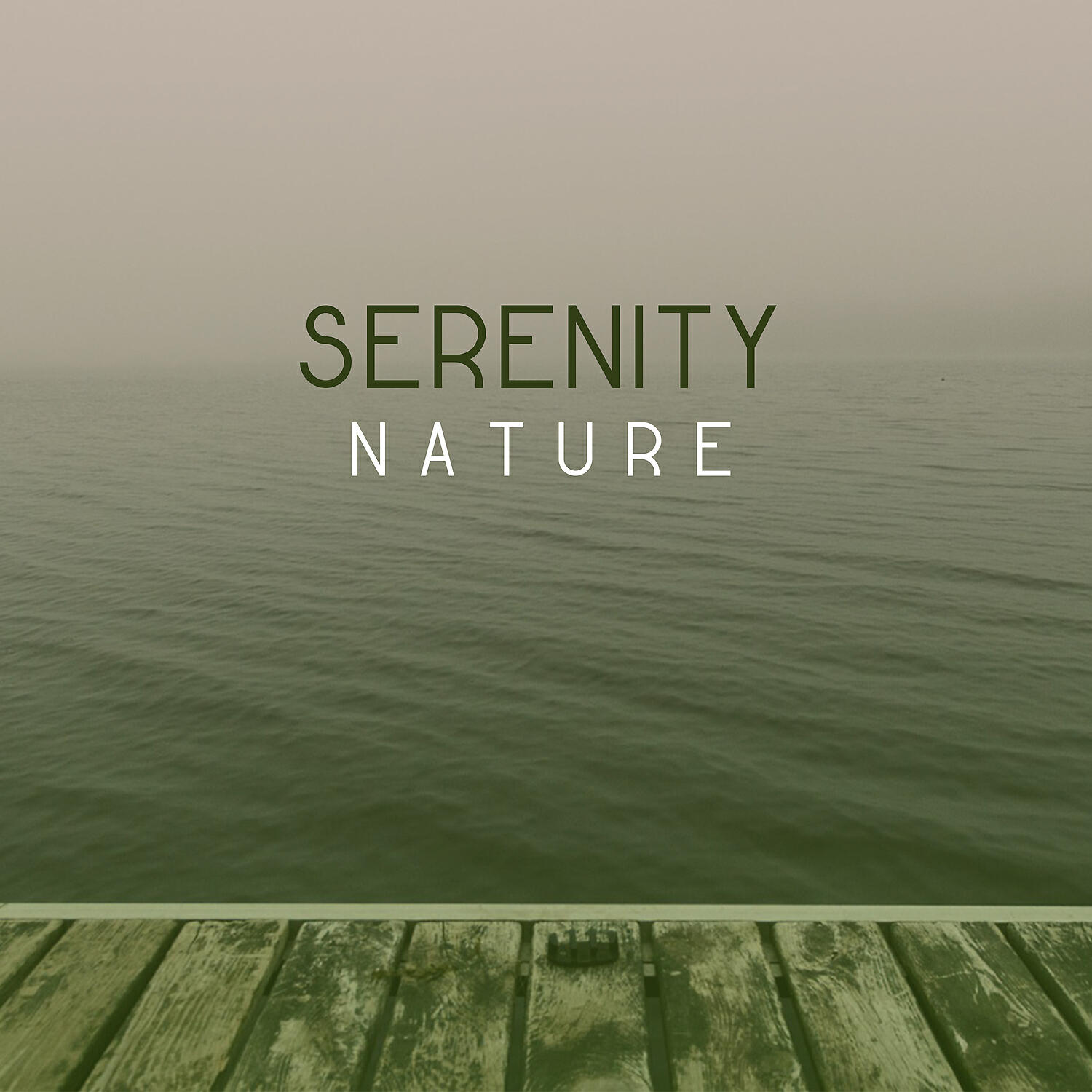 Natural World Music - Sounds of Nature Relaxation