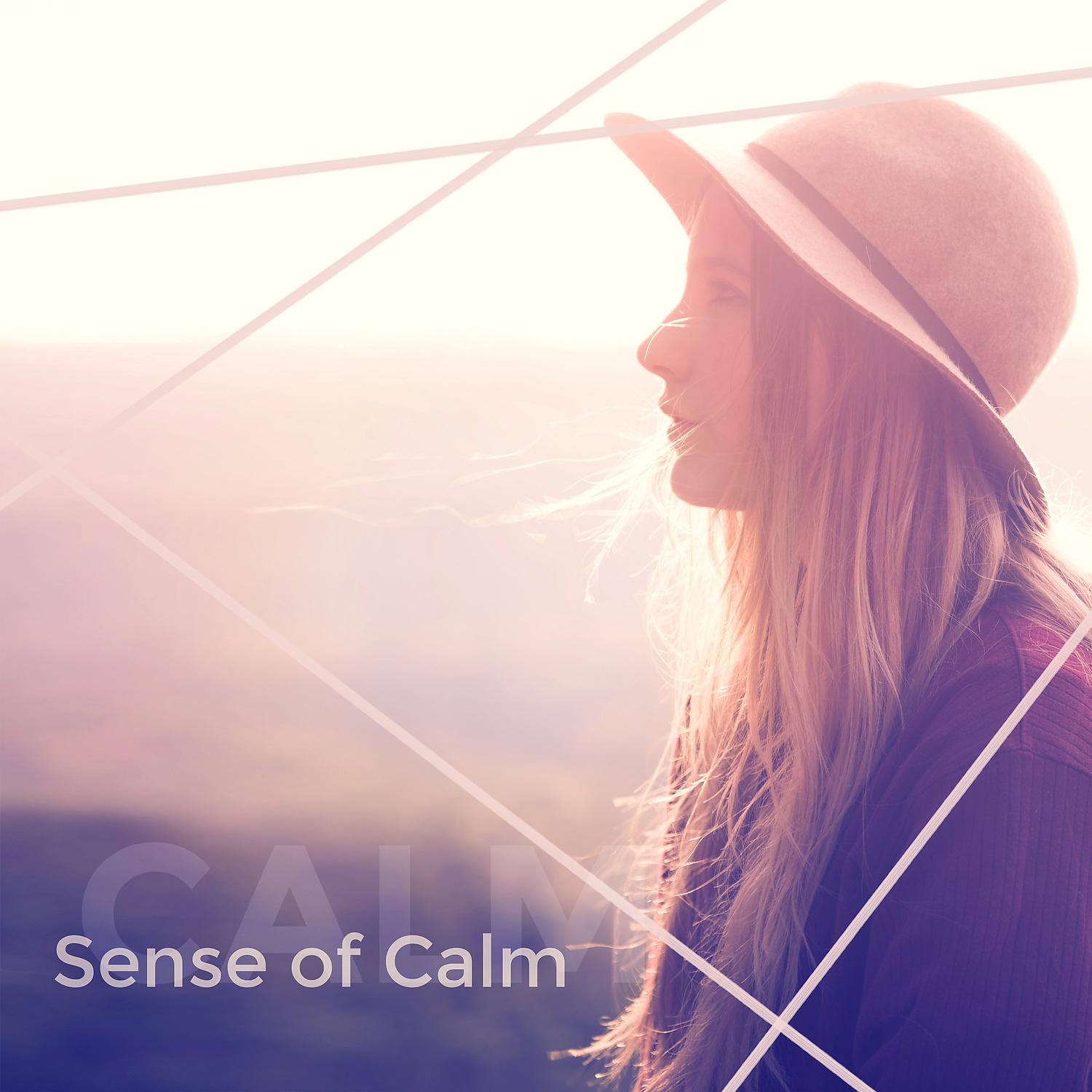 Постер альбома Sense of Calm – Nature Sounds to Calm Down, Relaxing New Age Music, Inner Silence, Peaceful Sounds, Water Waves