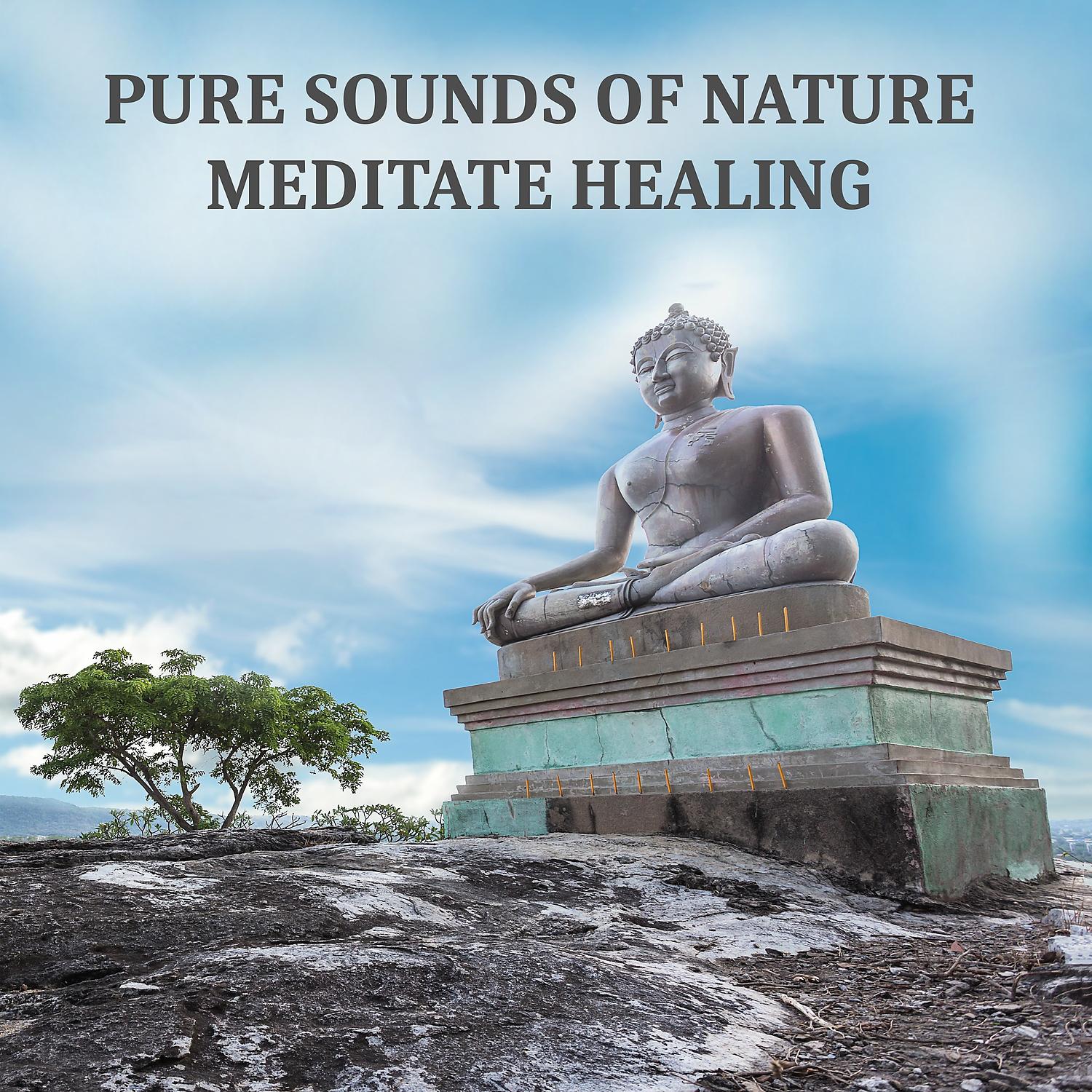 Постер альбома Pure Sounds of Nature - Meditate Healing Music for Yoga and Relaxation, Massage, Spa