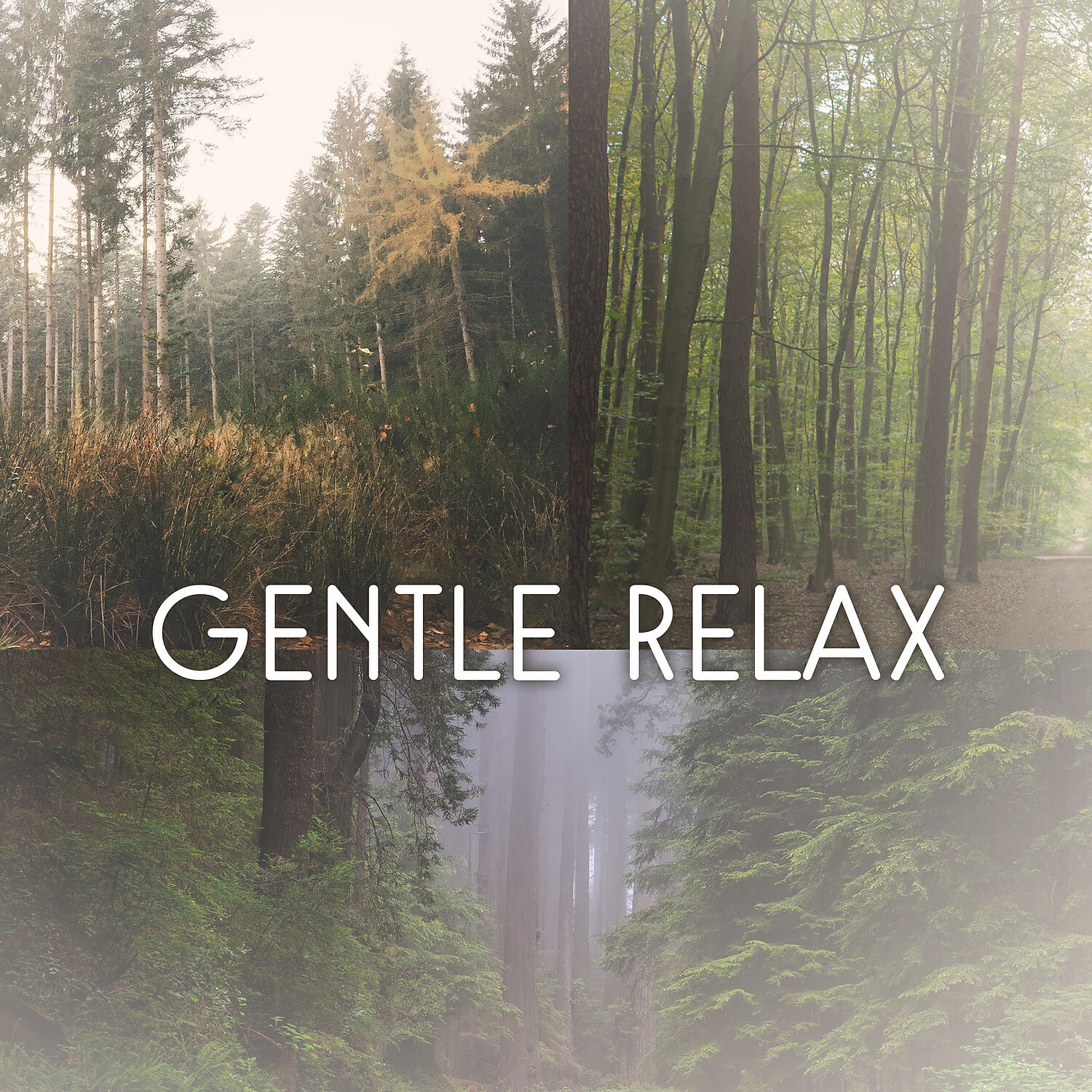 Spiritual Transformation Music Academy - Deep Relaxation (Calm Wind Chimes)
