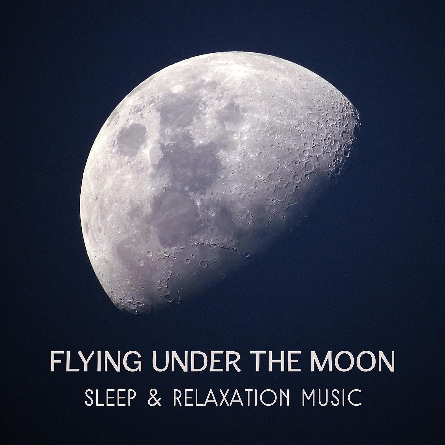 Постер альбома Flying Under the Moon – Sleep & Relaxation Music, Calming Sounds to Help You Sleep, Deep Dreaming Music