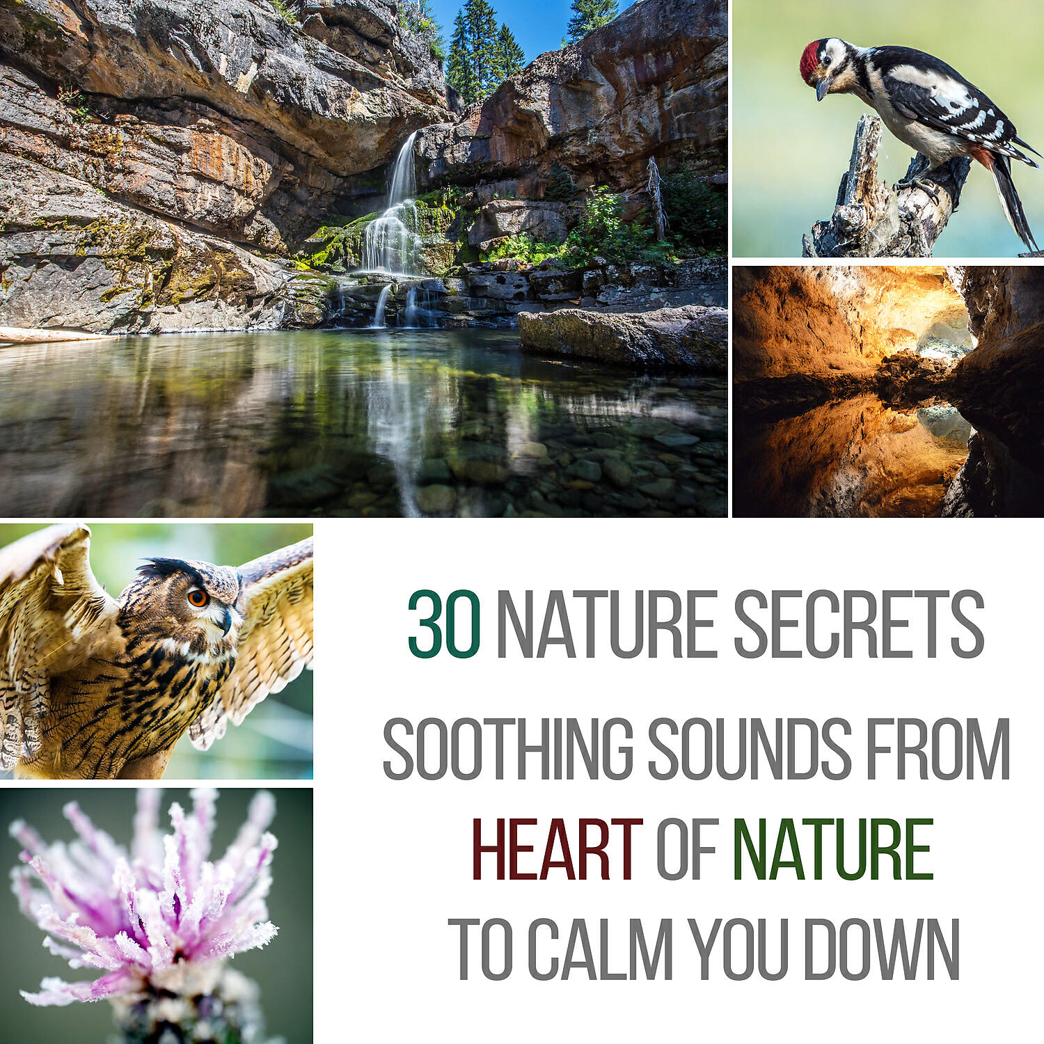 Serenity Nature Sounds Academy - 7 Chakras Healing (Soothing Rain Forest Sound)