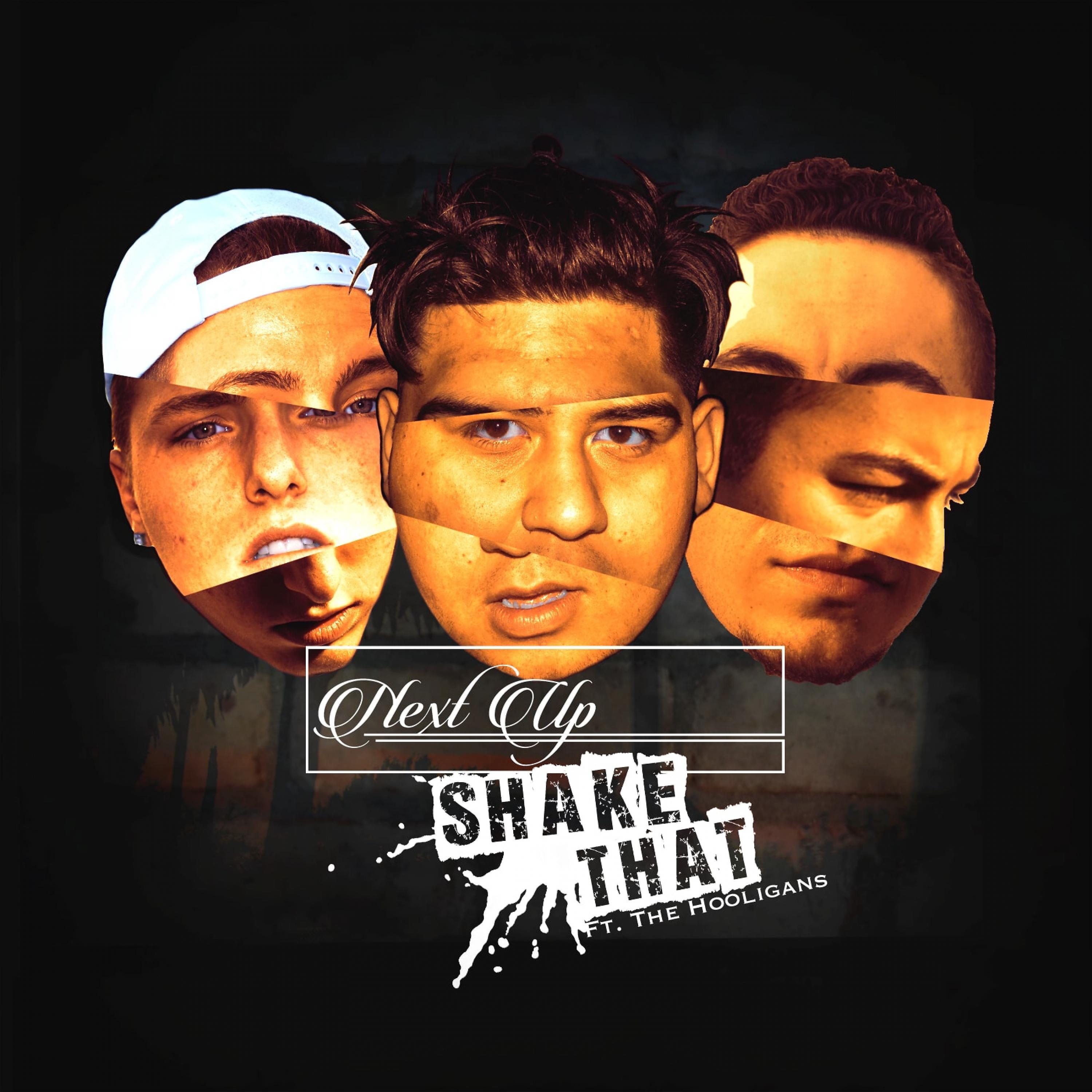 Постер альбома Shake That (feat. The Hooligans)