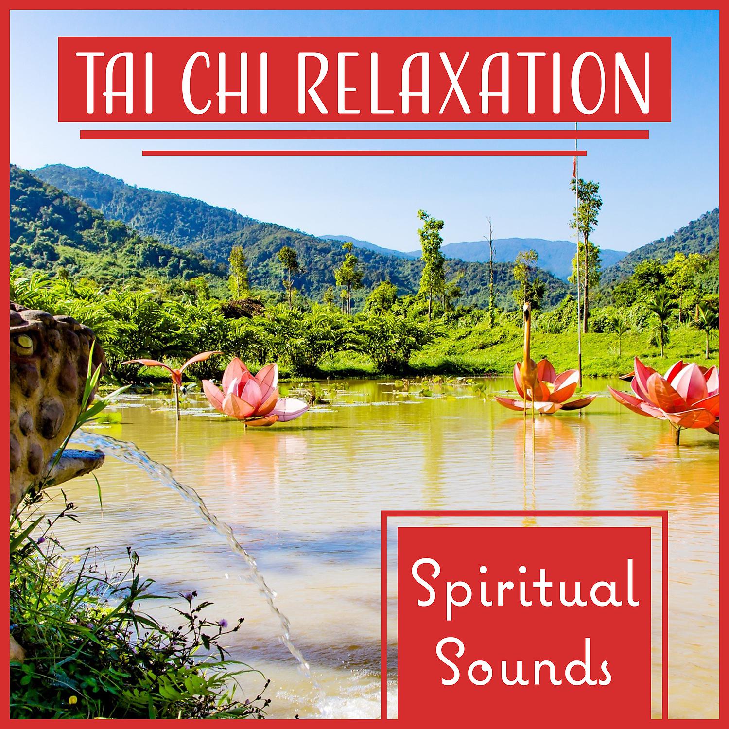 Постер альбома Tai Chi Relaxation: Spiritual Sounds of New Age Music for Reiki Healing and Shiatsu Massage, Yoga & Meditation