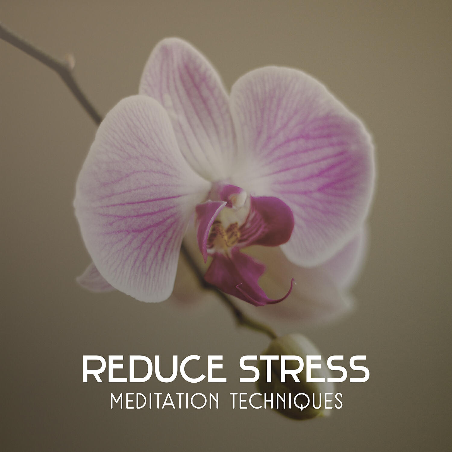 Deep Meditation Music System - Meditate & Fall Asleep