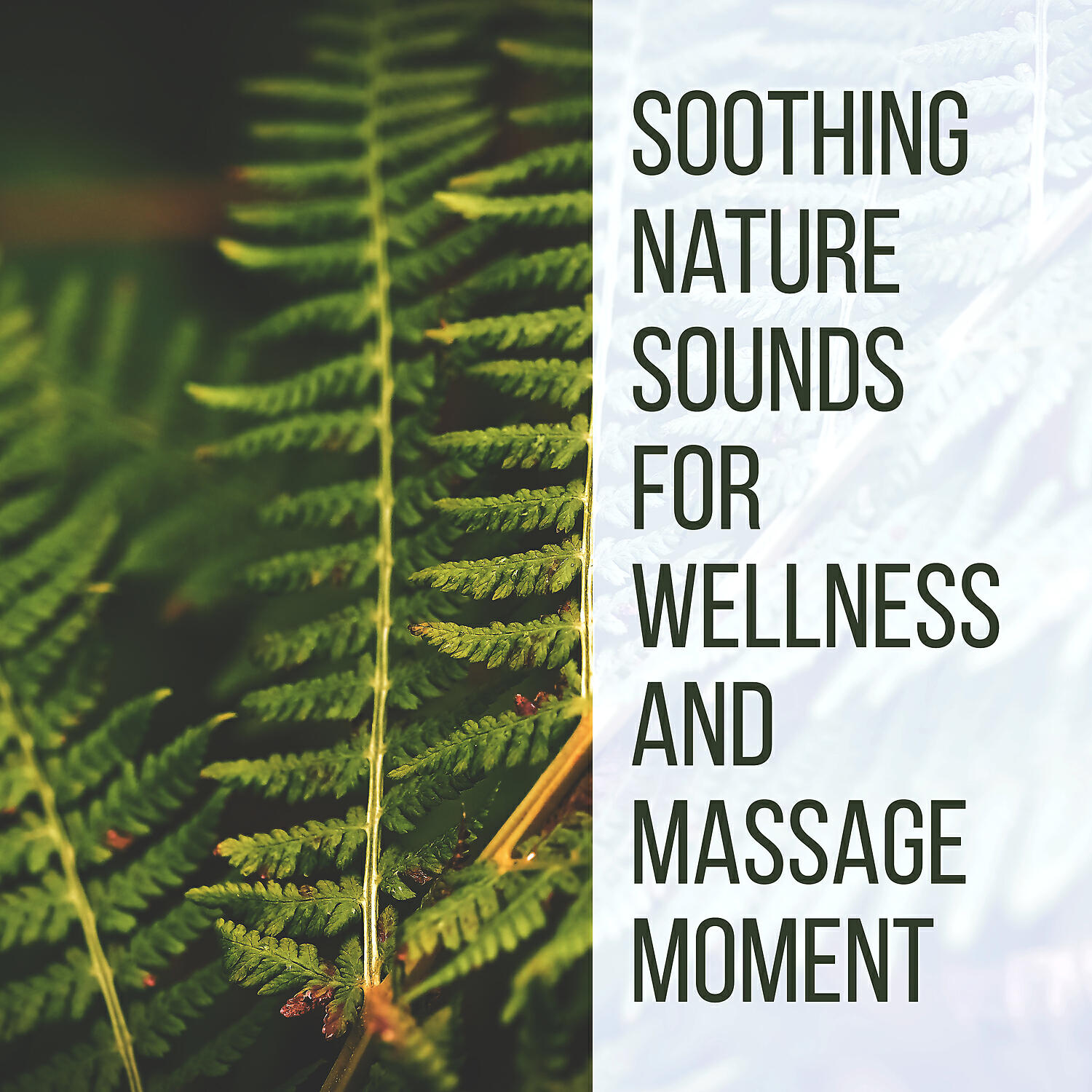 Healing Oriental Spa Collection - Deep Sleep Inducing (Hatha Yoga)