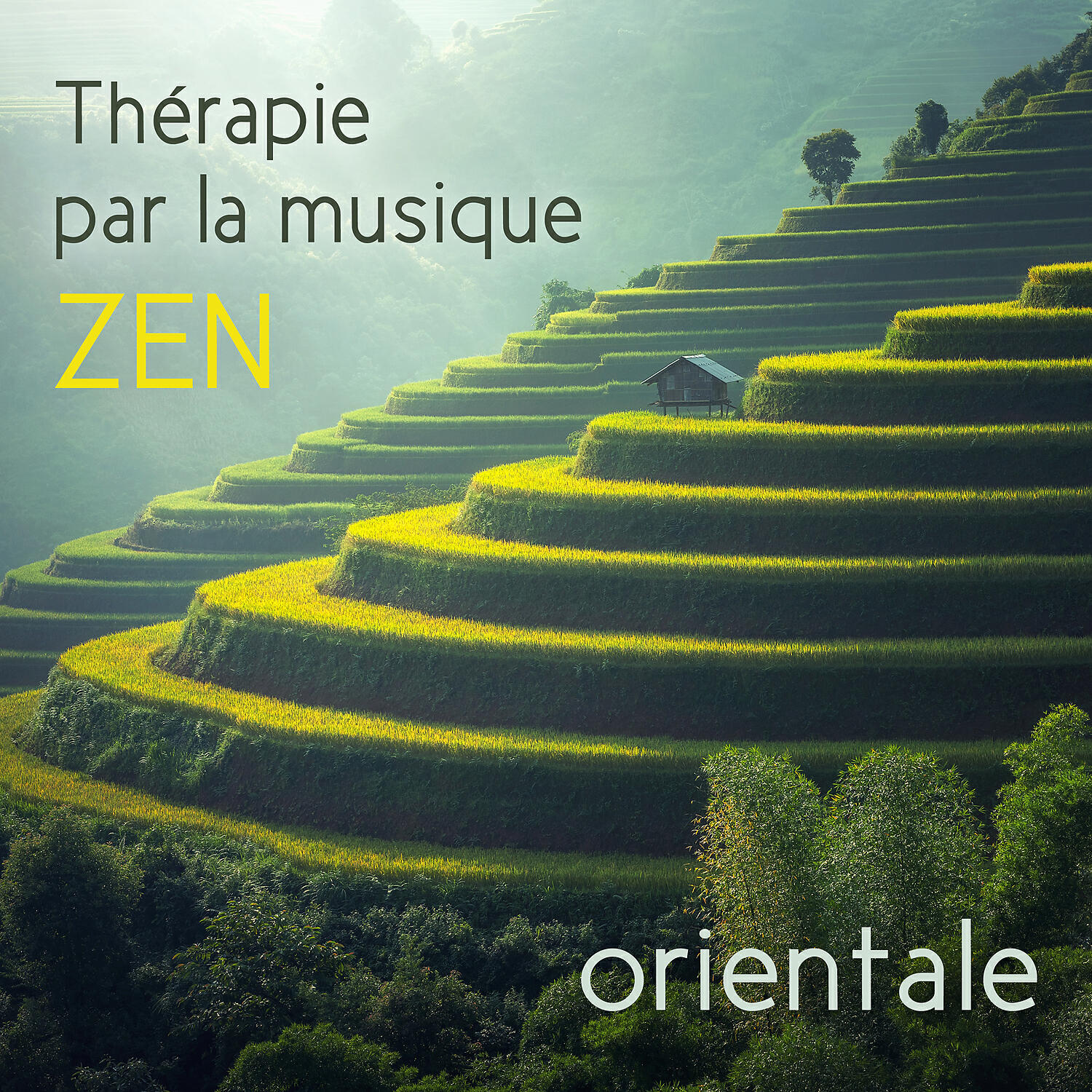 Musique pour Détendre en Temps Libre - Région boisée (La nature - Lutter contre le stress)