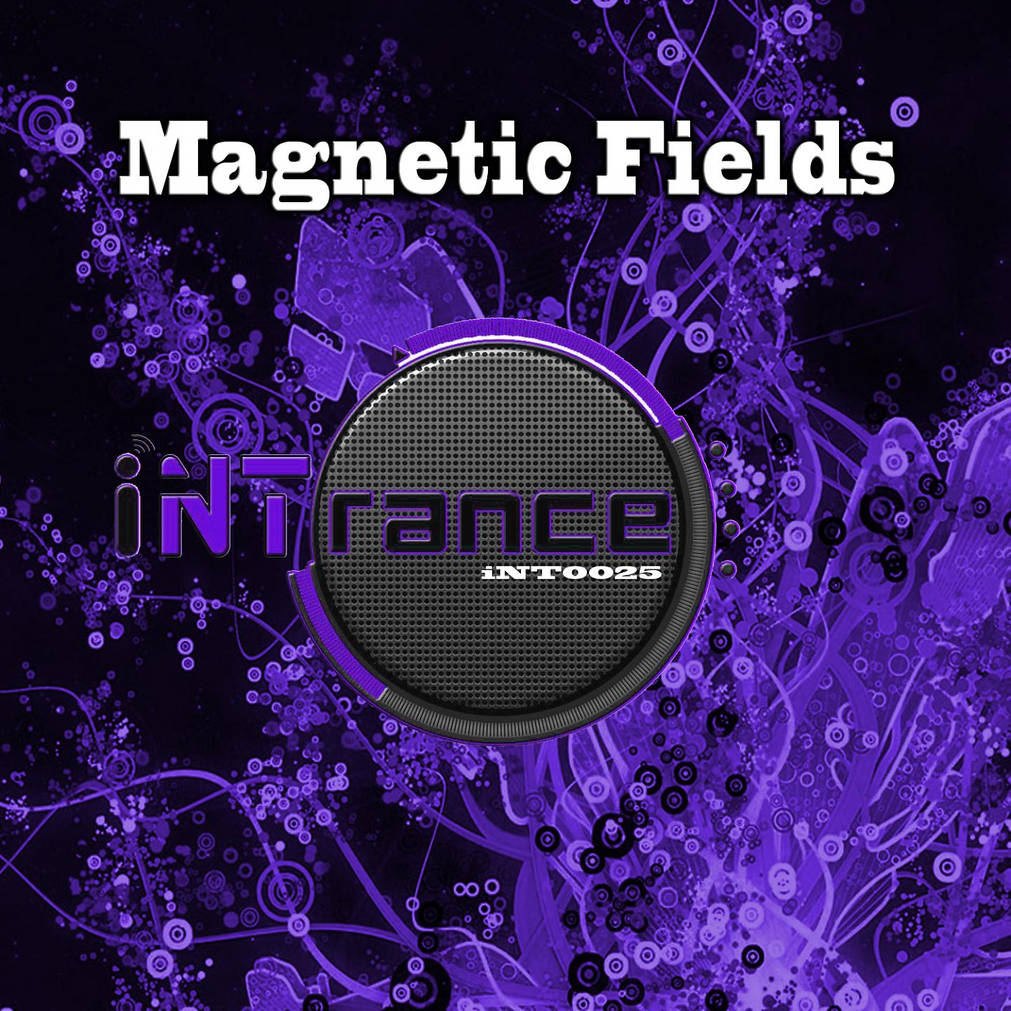 Постер альбома Magnetic Fields