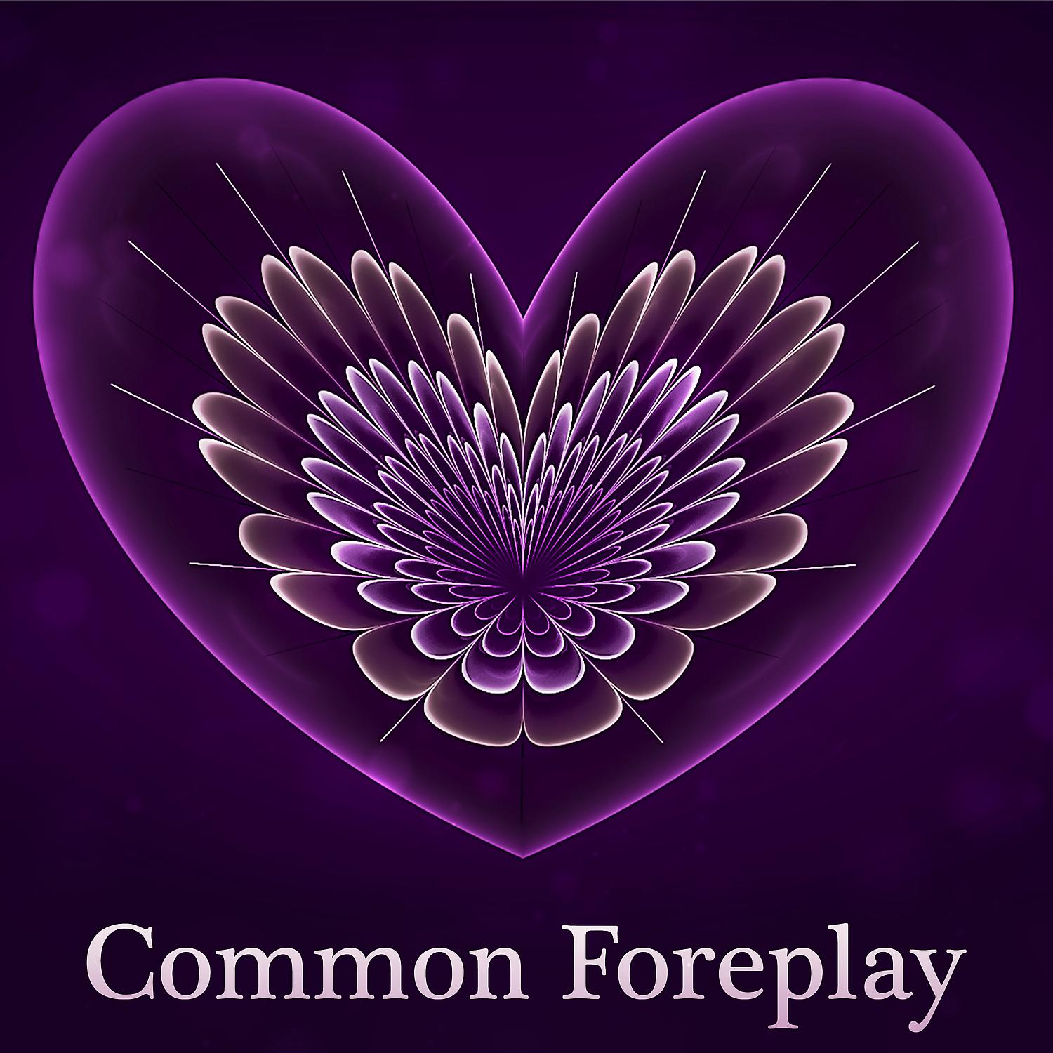 Постер альбома Common Foreplay - Time Together, Fantastic Experiences Sex, Feeling Performance