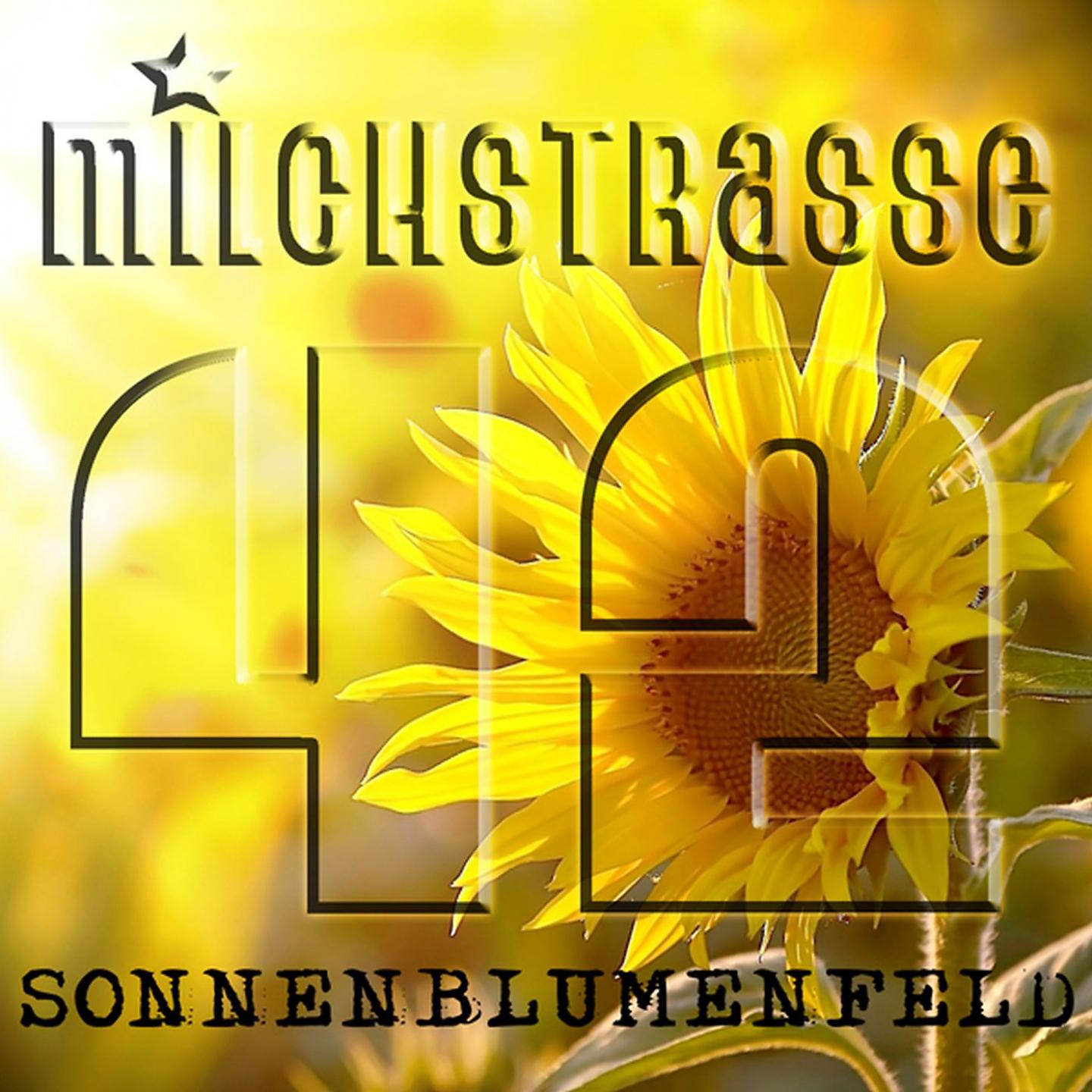 Постер альбома Sonnenblumenfeld