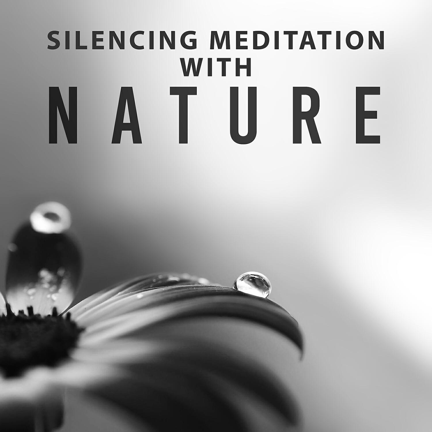 Ambient Meditation Therapy - Fresh Air