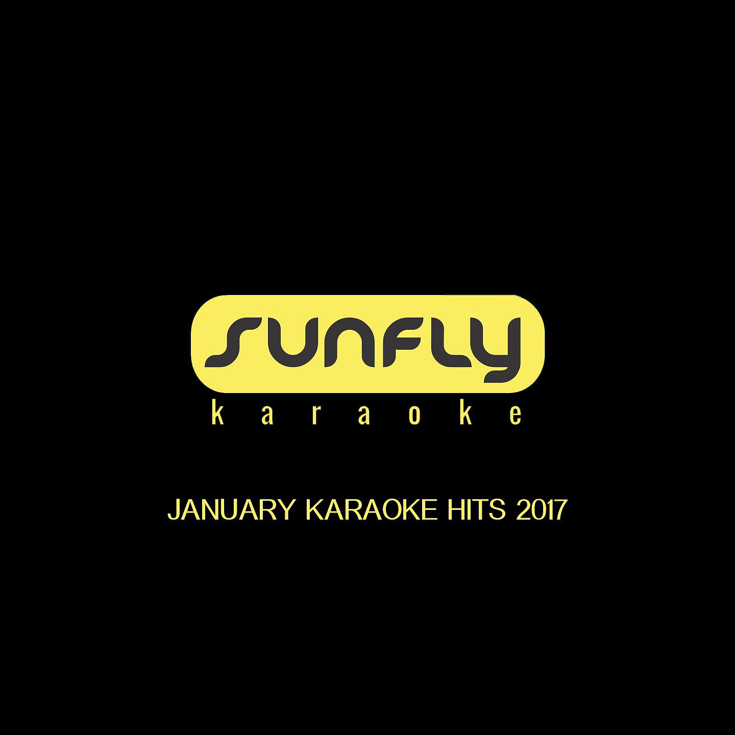 Постер альбома Jan Karaoke Hits 2017