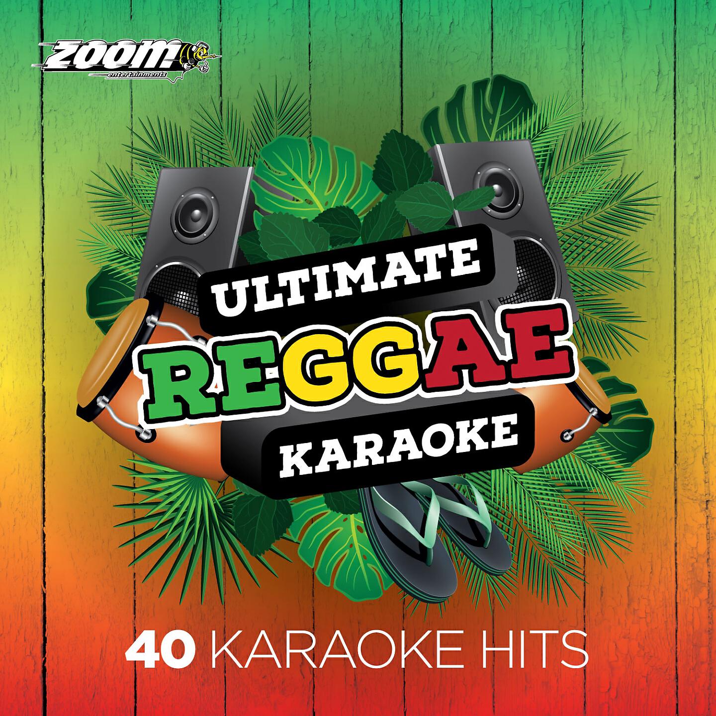 Zoom Karaoke - I Feel Good (Karaoke Version) [Originally Performed by Beres Hammond]