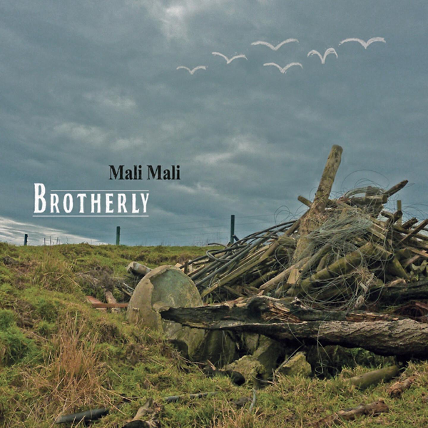 Mali Mali - The Ramp