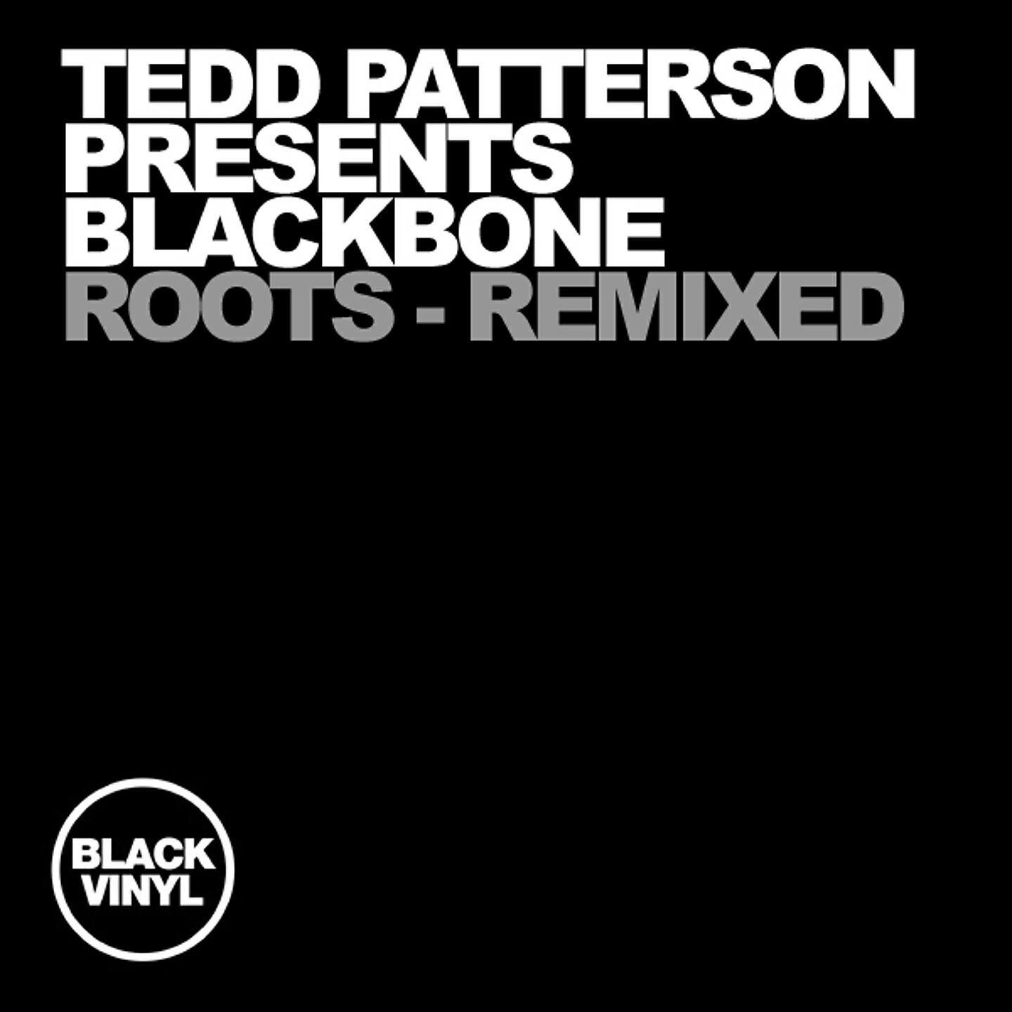 TEDD PATTERSON - Roots (Blak Beat Niks Remix)