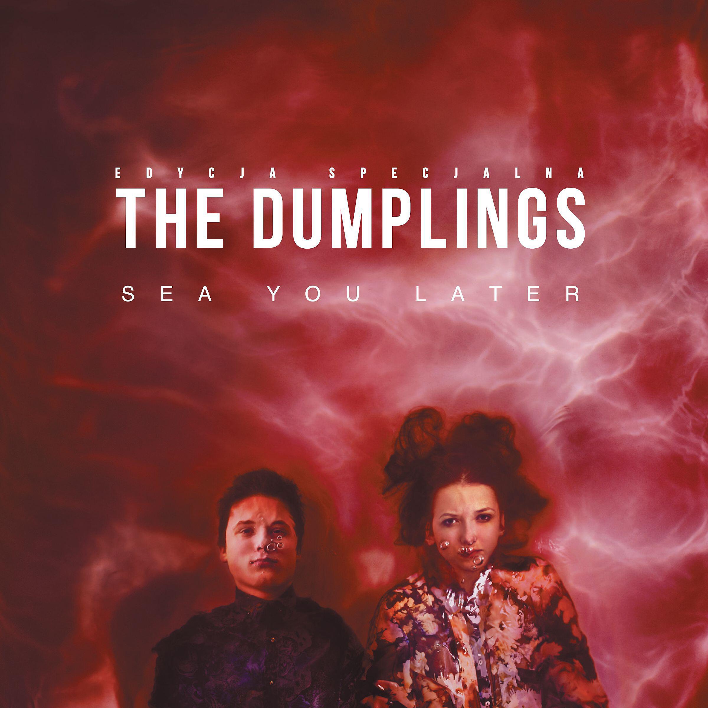 The Dumplings - When Love Is Gone (feat. Marcelina)