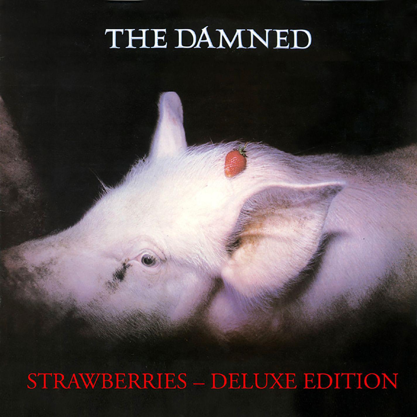 Постер альбома Strawberries (Deluxe Edition)