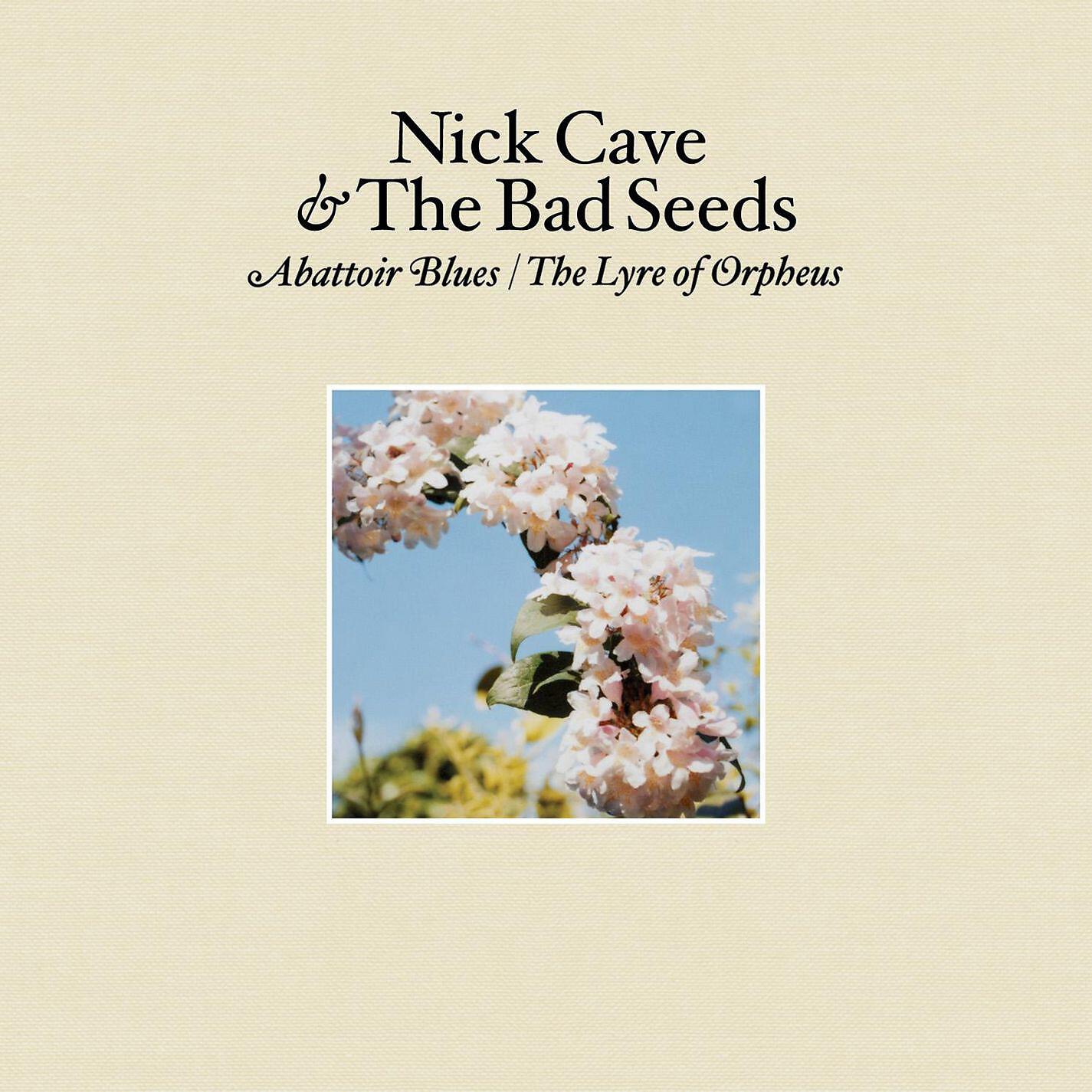 Nick cave o. Nick Cave and the Bad Seeds - Abattoir Blues (2004). Abattoir Blues/the Lyre of Orpheus Nick Cave and the Bad Seeds. The Lyre of Orpheus Nick Cave. Abattoir Blues/the Lyre of Orpheus ник Кейв.