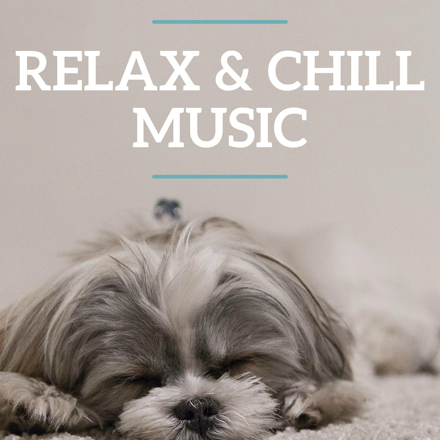 Постер альбома Relax & Chill Music