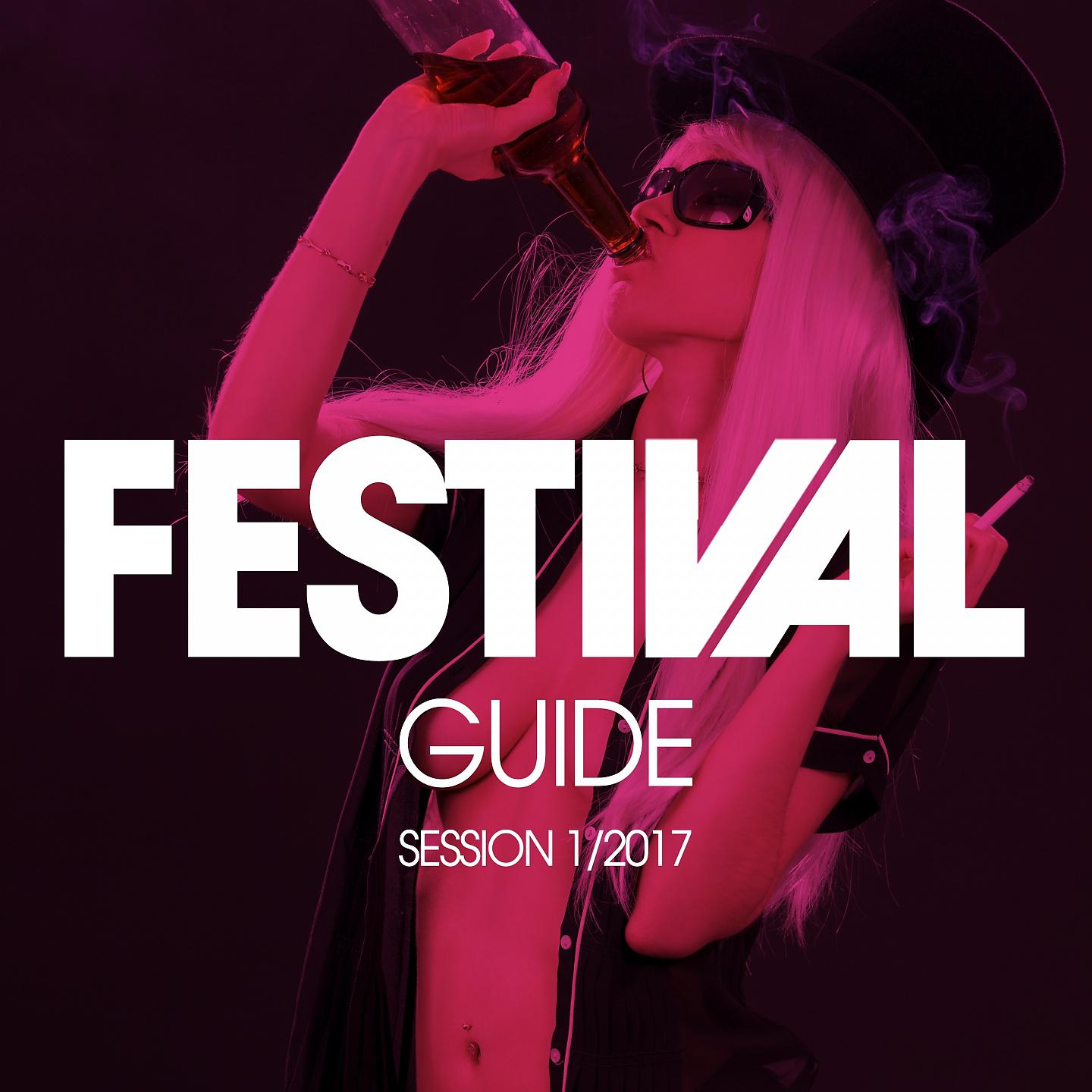 Постер альбома Festival Guide Session 1/2017