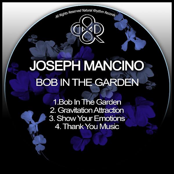 Joseph Mancino - Gravitational Attraction