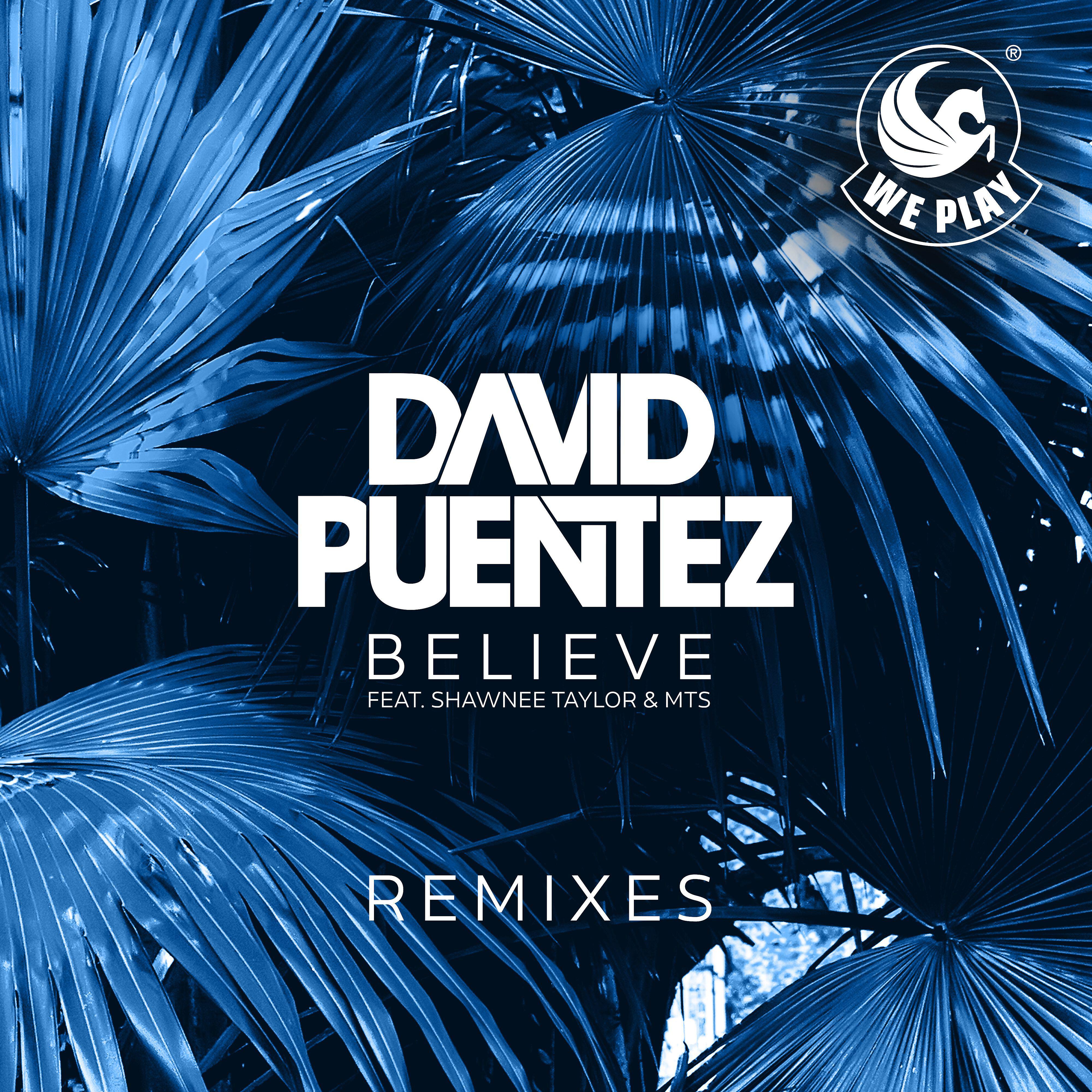 David Puentez - Believe (feat. Shawnee Taylor & MTS) [Takedown Remix]