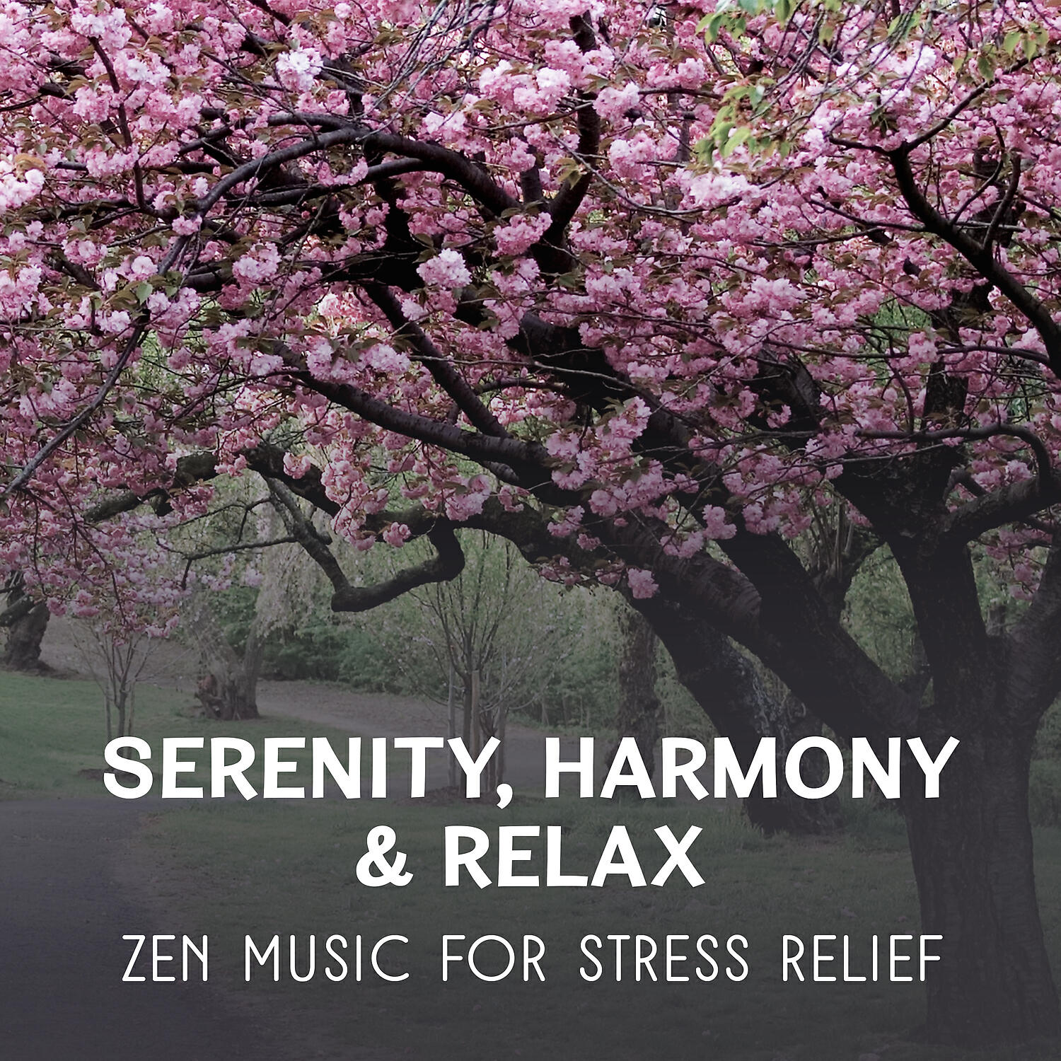 Restorative Music Universe - Spiritual Guide (Take a Right Path)