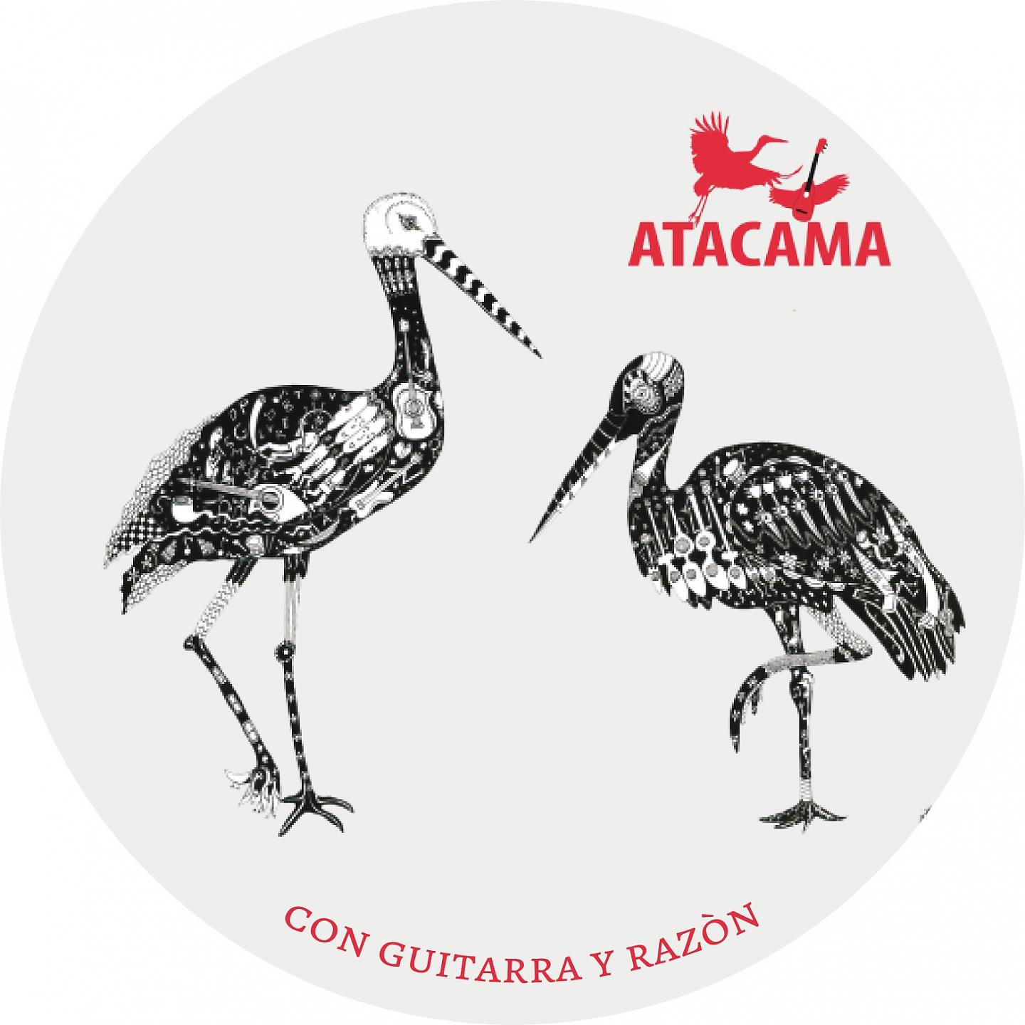 Постер альбома Con Guitarra y Razón