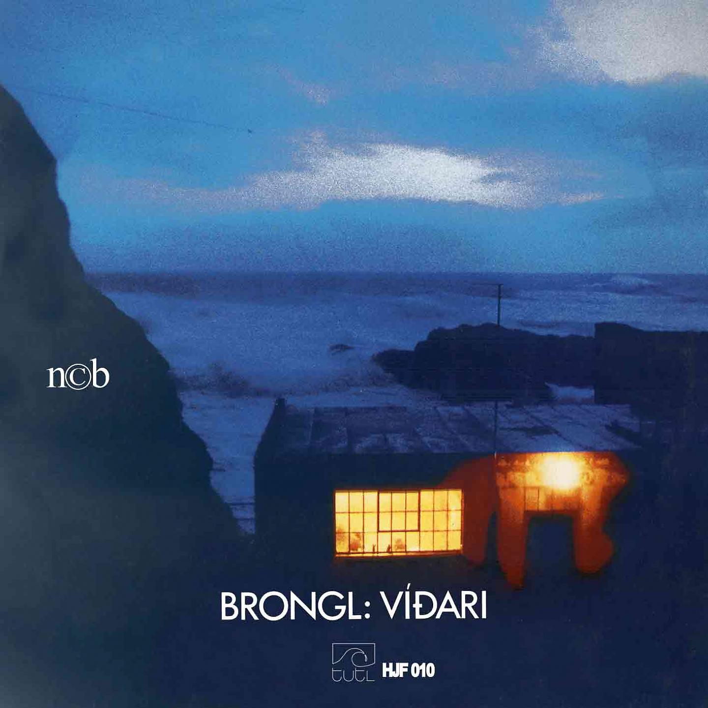 Постер альбома Víðari