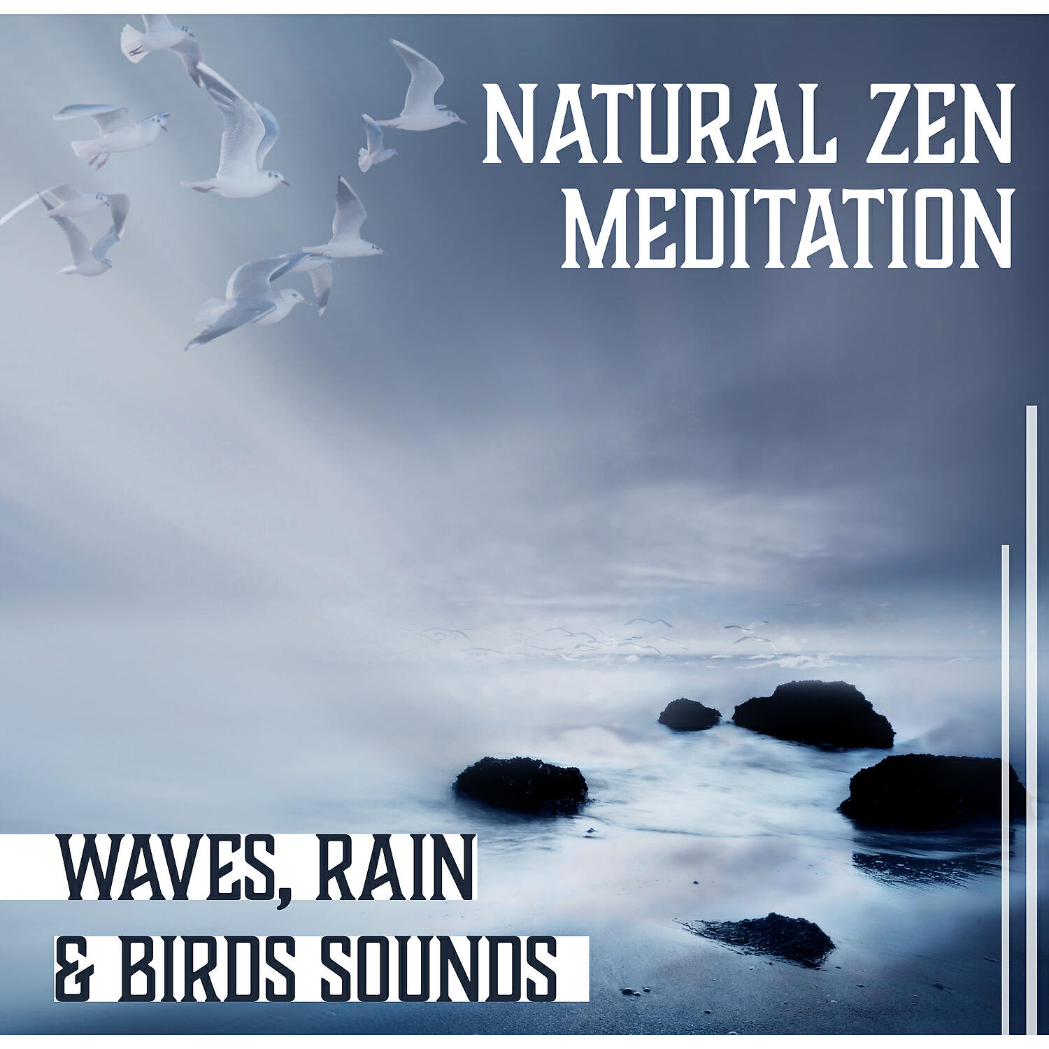 Mindfulness Meditation Unit - Ayurveda: Release Worry and Anxiety
