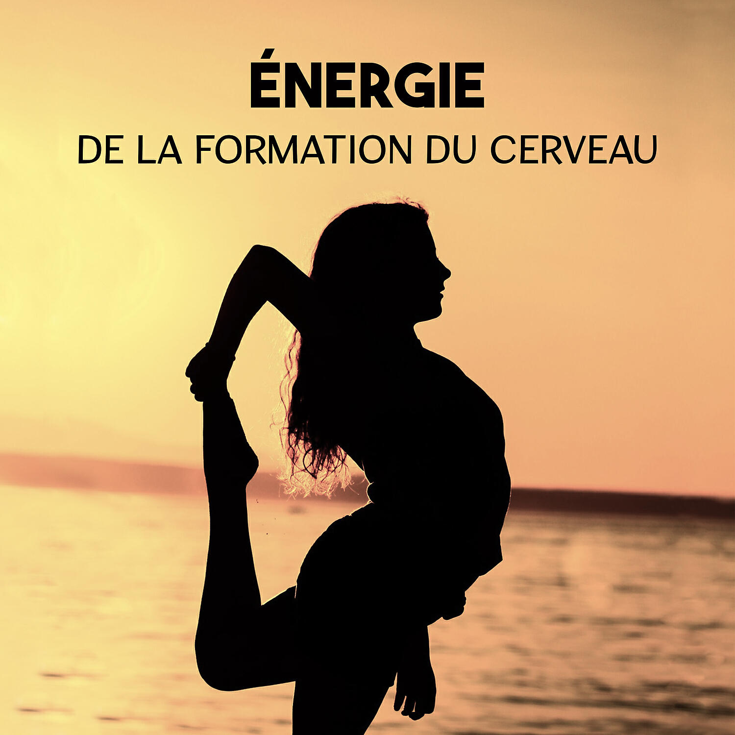 Zone de la Musique Sérénité - Zone de méditation zen