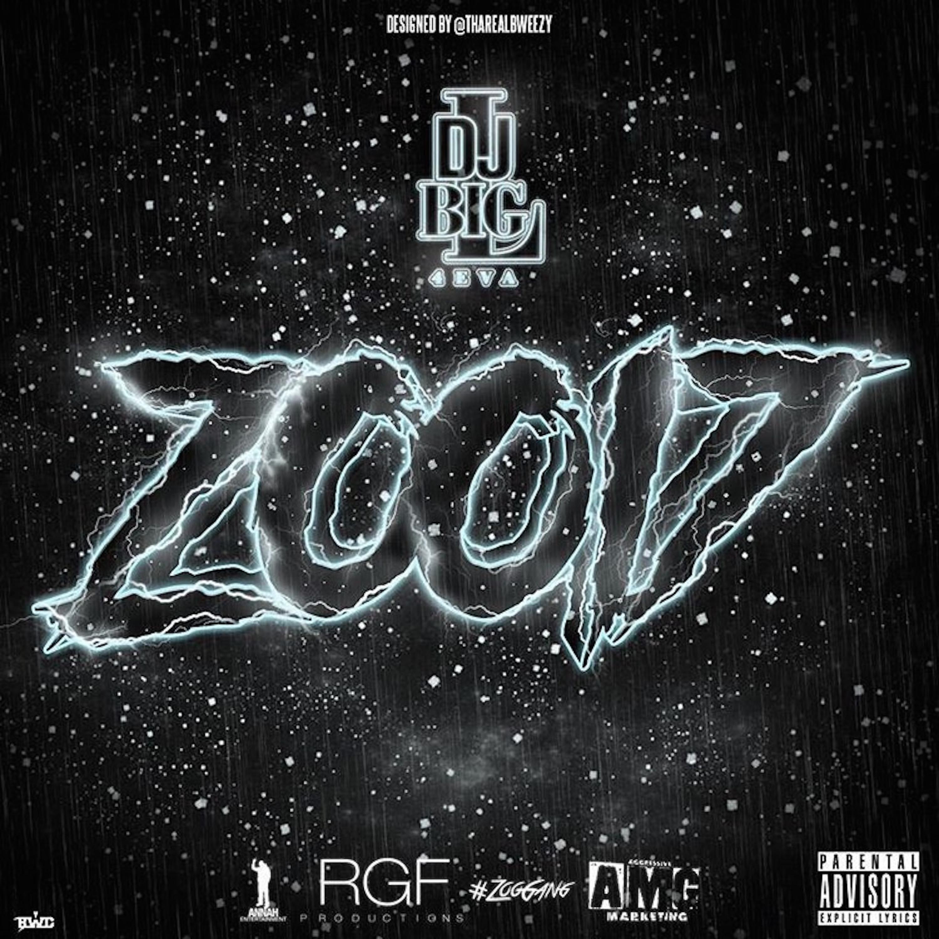 Постер альбома ZOO17