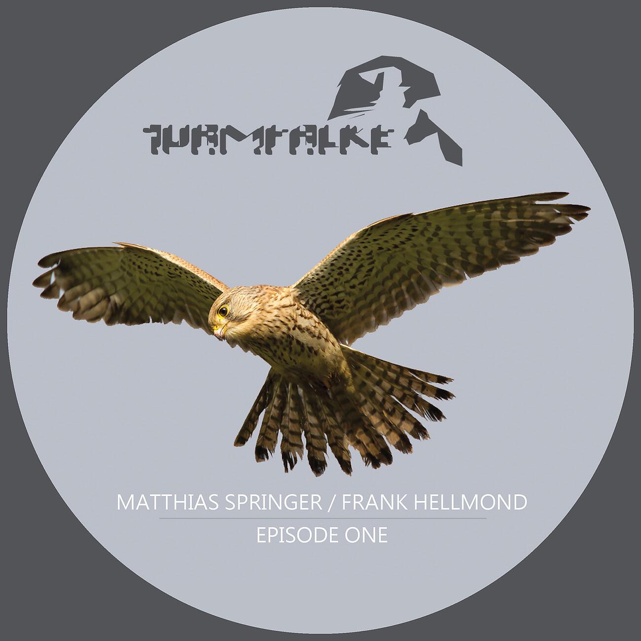 Matthias Springer - Mandrake Groove (Frank Hellmond Remix)