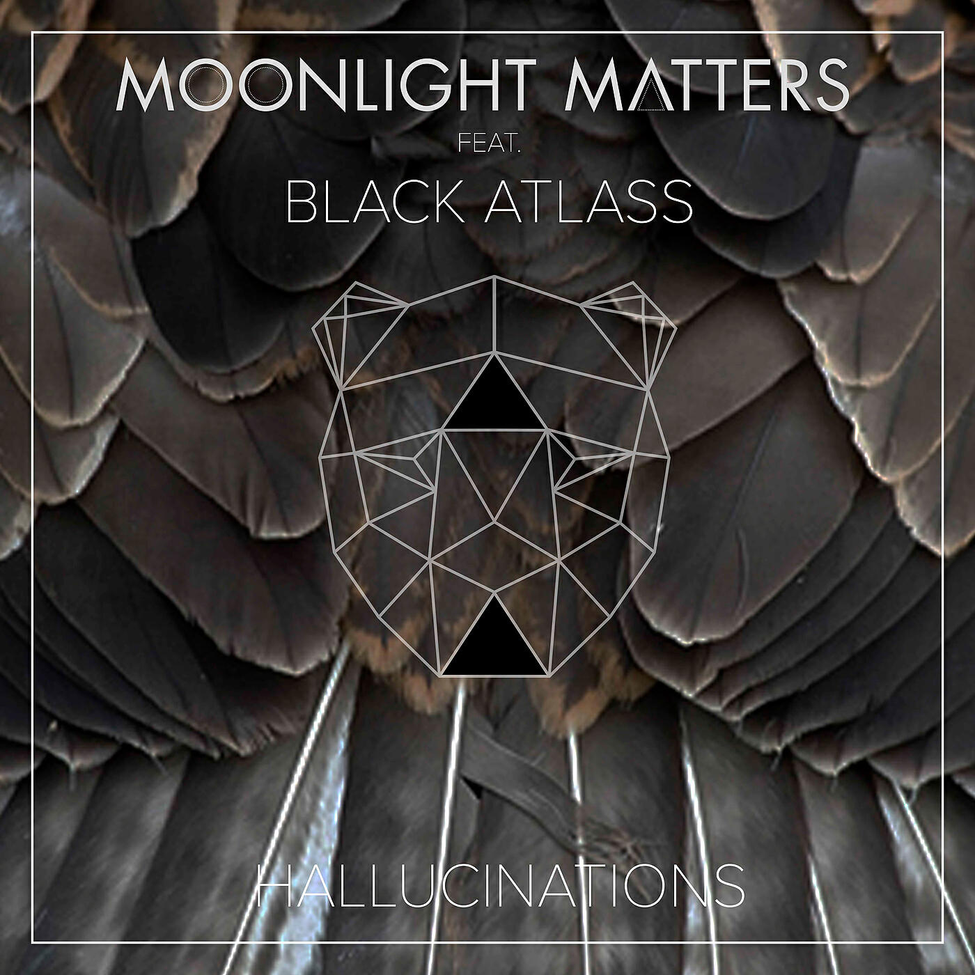 Moonlight Matters - Hallucinations