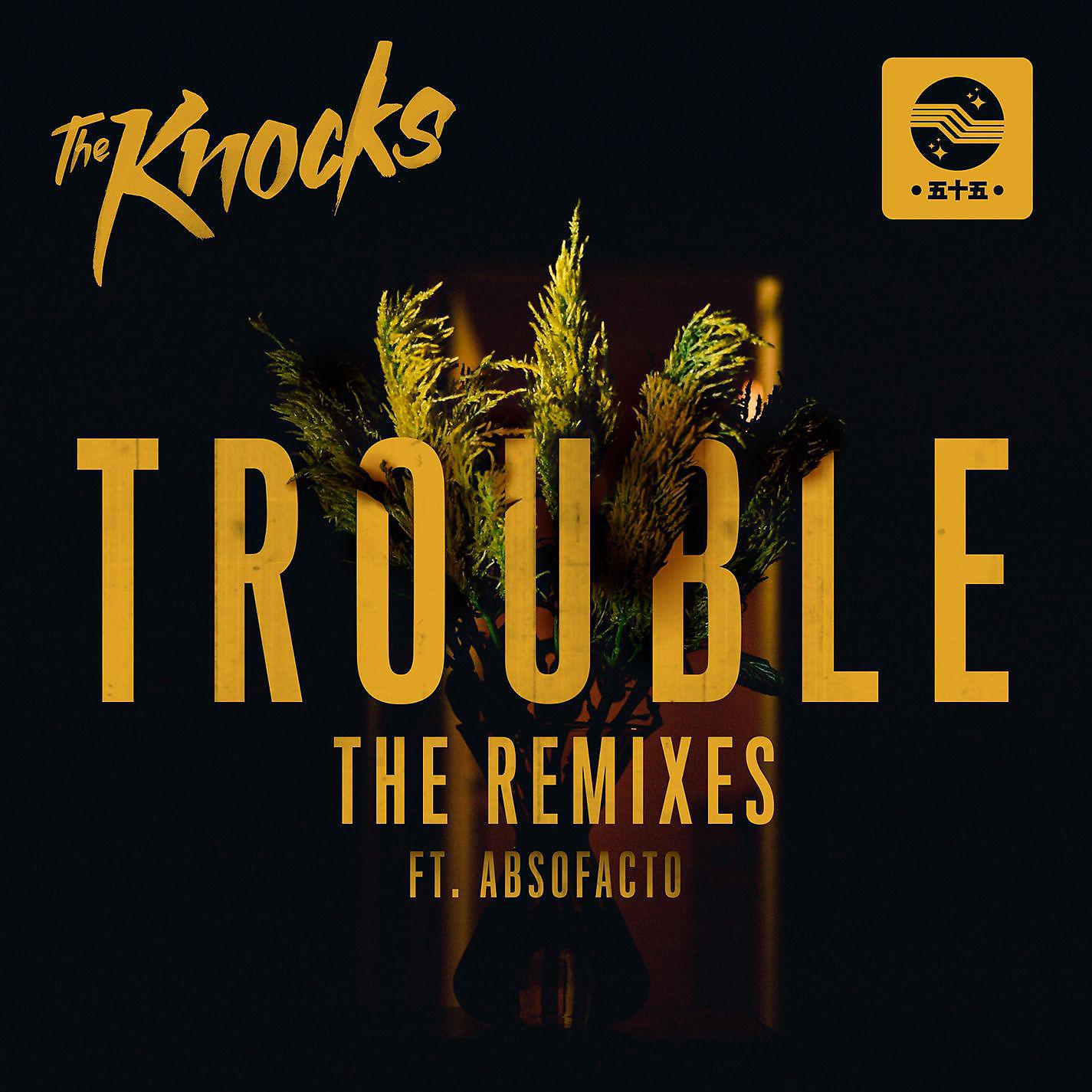 Постер альбома TROUBLE (feat. Absofacto) [Remixes]