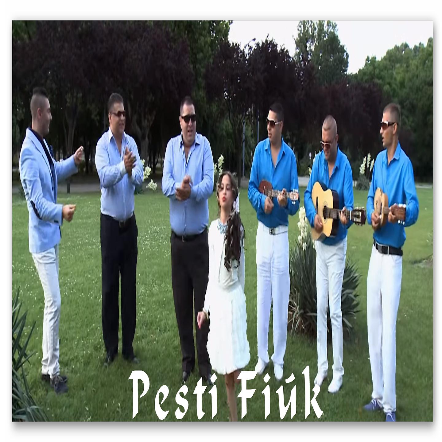 Постер альбома Pesti Fiúk A Színpadon
