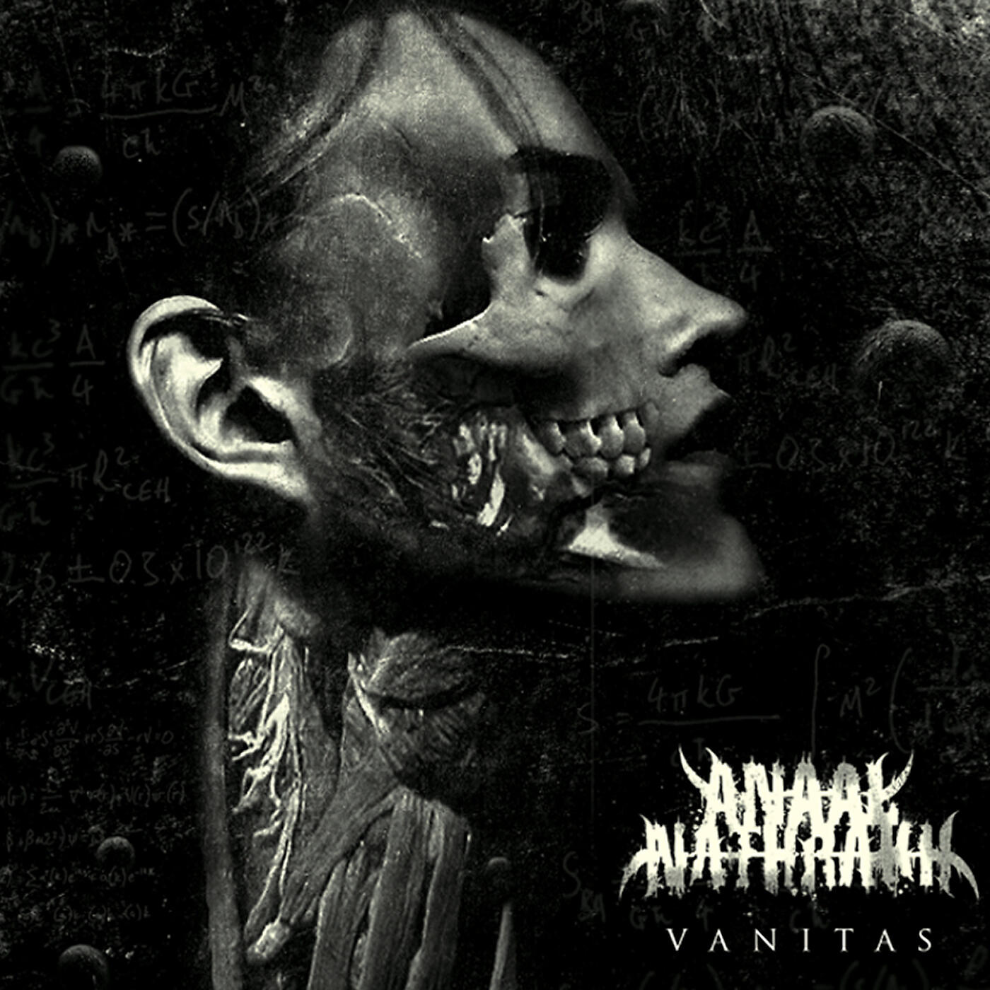 Anaal Nathrakh - To Spite The Face