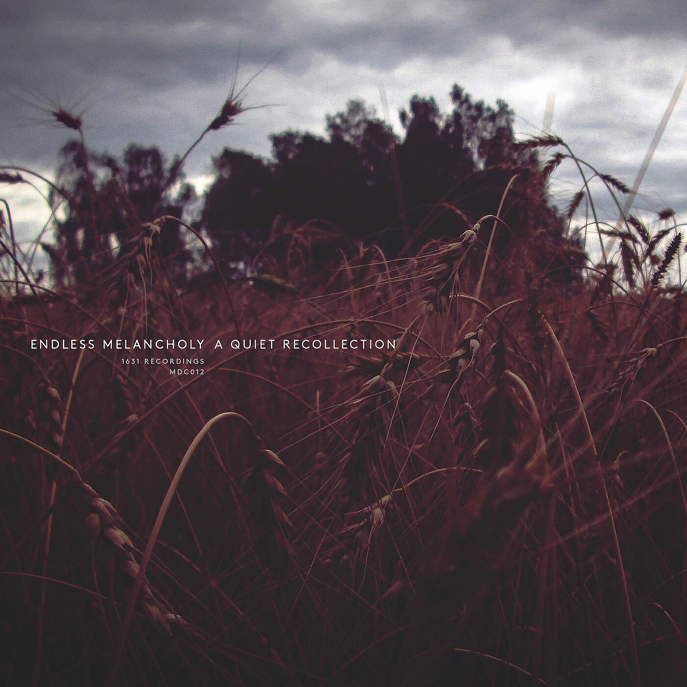 Endless Melancholy - Sakevych: Their Hearts Erased