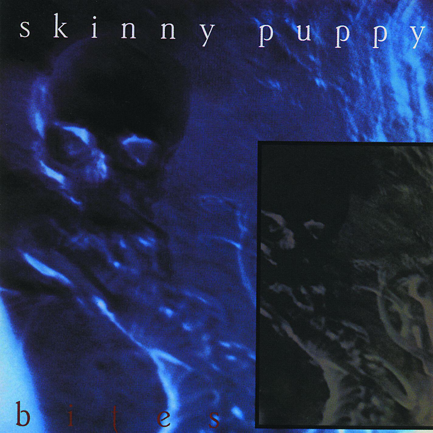 Skinny Puppy - Assimilate