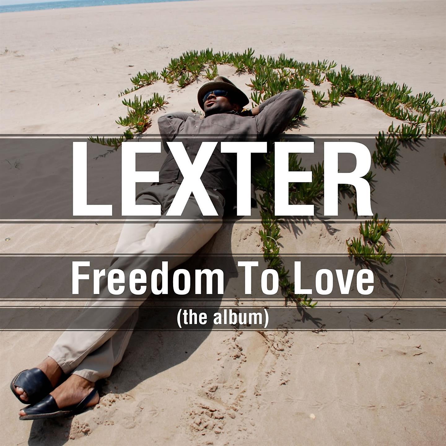 Постер альбома Freedom To Love (The Album)