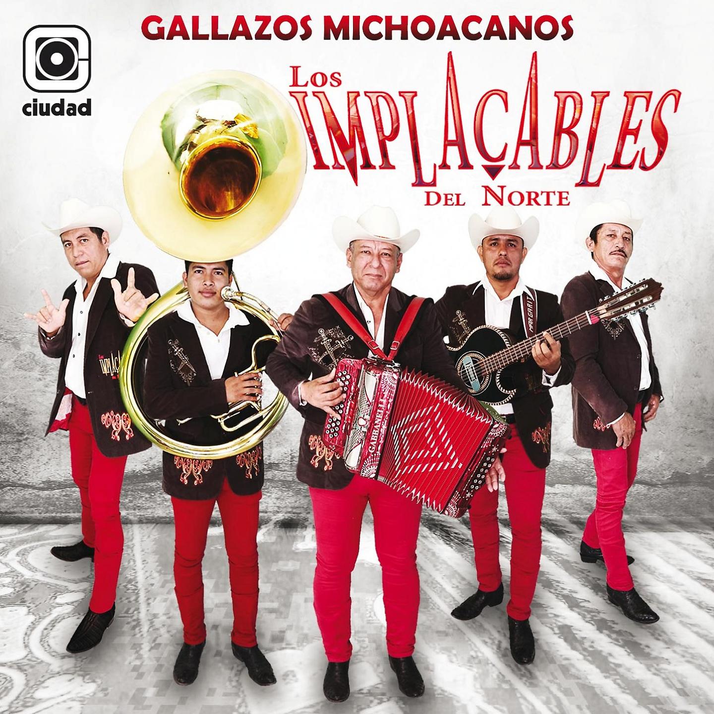 Постер альбома Gallazos Michoacanos
