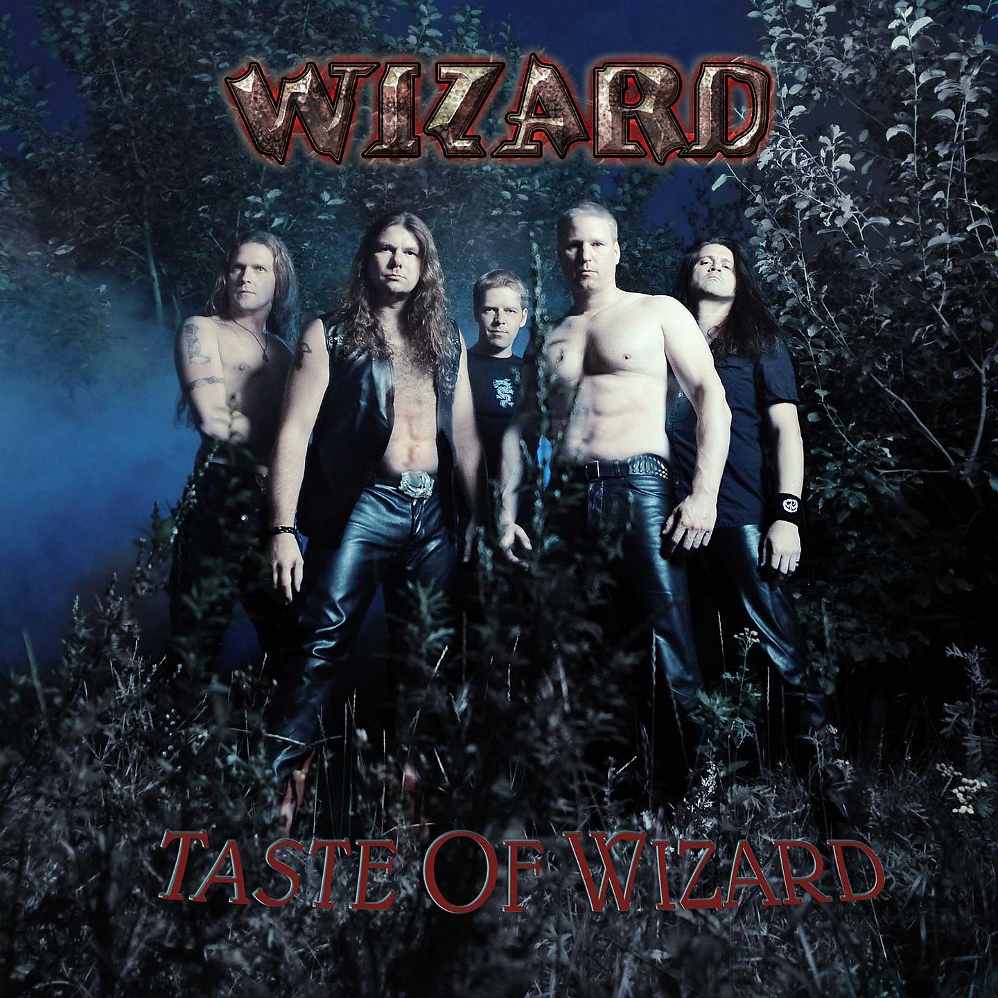 Постер альбома Taste of Wizard